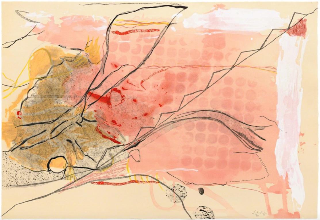 Abstract Print Helen Frankenthaler - Applique en forme d'ananas pleureureuse