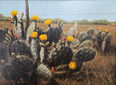 "Prickly Pear! Prickly Wire!" Blooming Prickly CACTUS BARB WIRE TEXAS DATED 1969