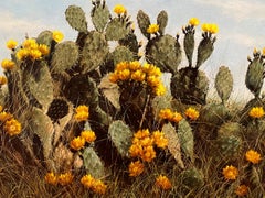 "Texas Prairie Rose" Blooming Prickly Pear Cactus  Helen Hunter  (1920-2003)