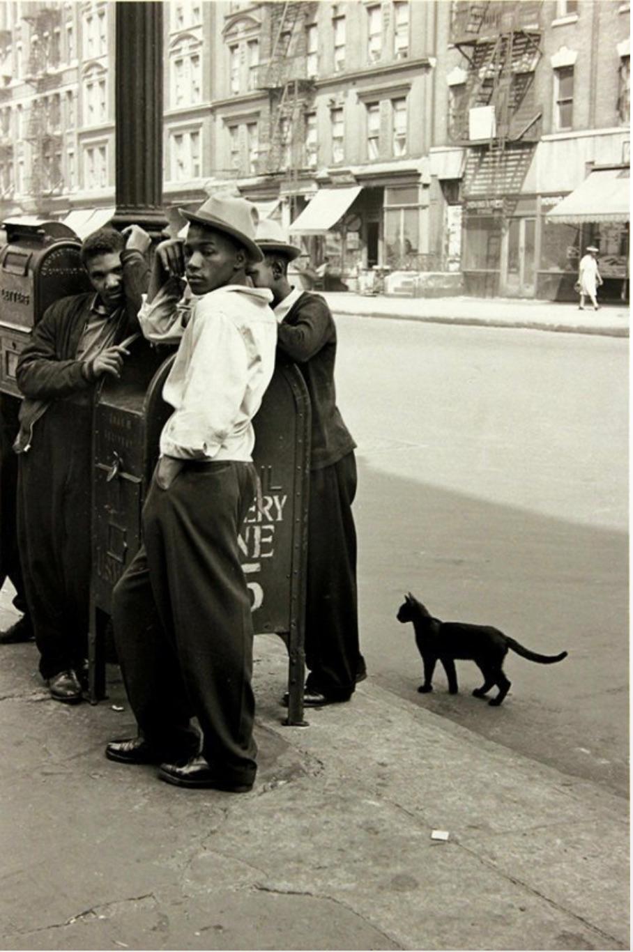 Helen Levitt Black and White Photograph - Harlem Boys with a Black Cat