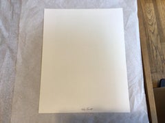 New York City (striped socks)