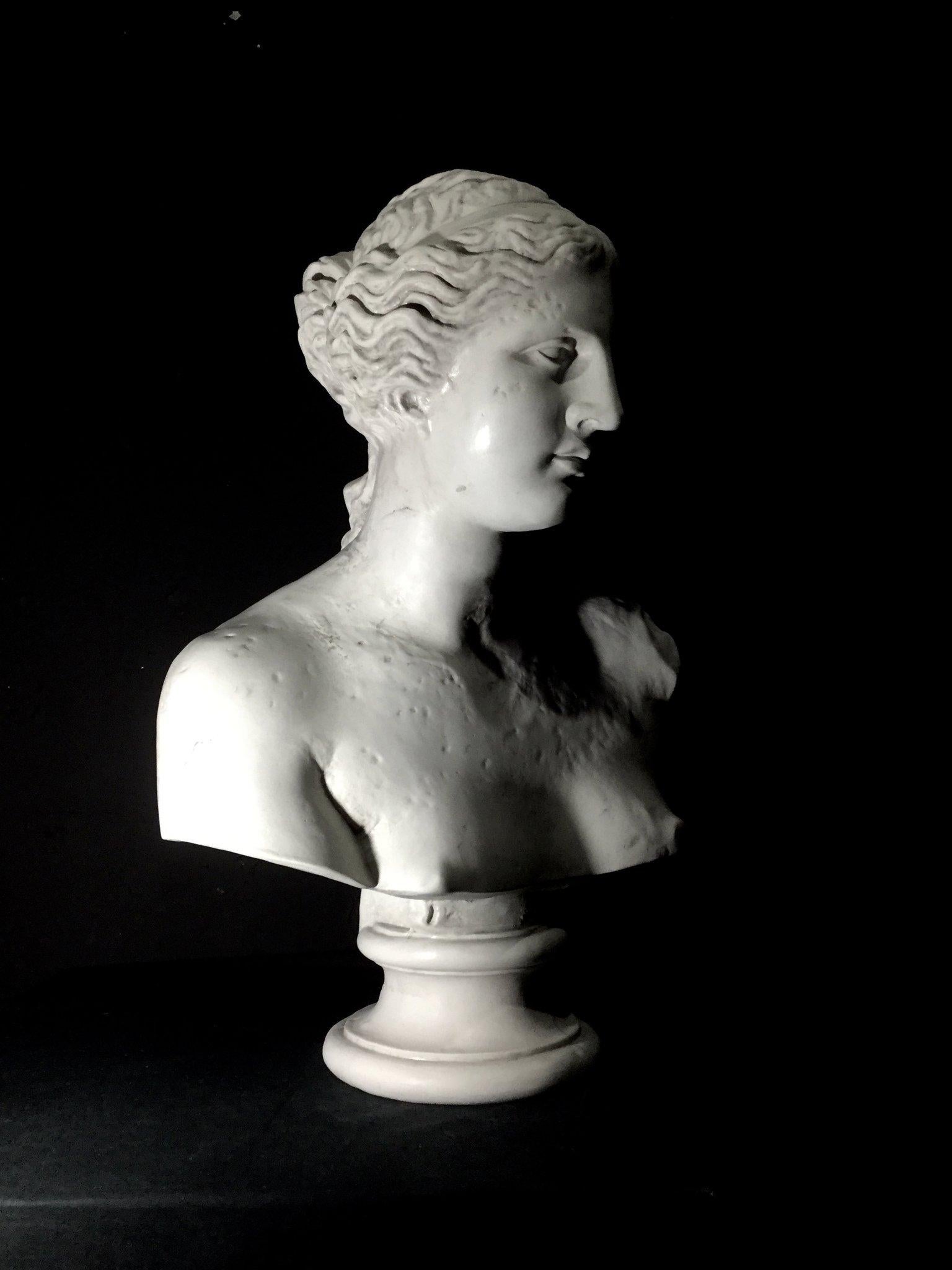 helen bust