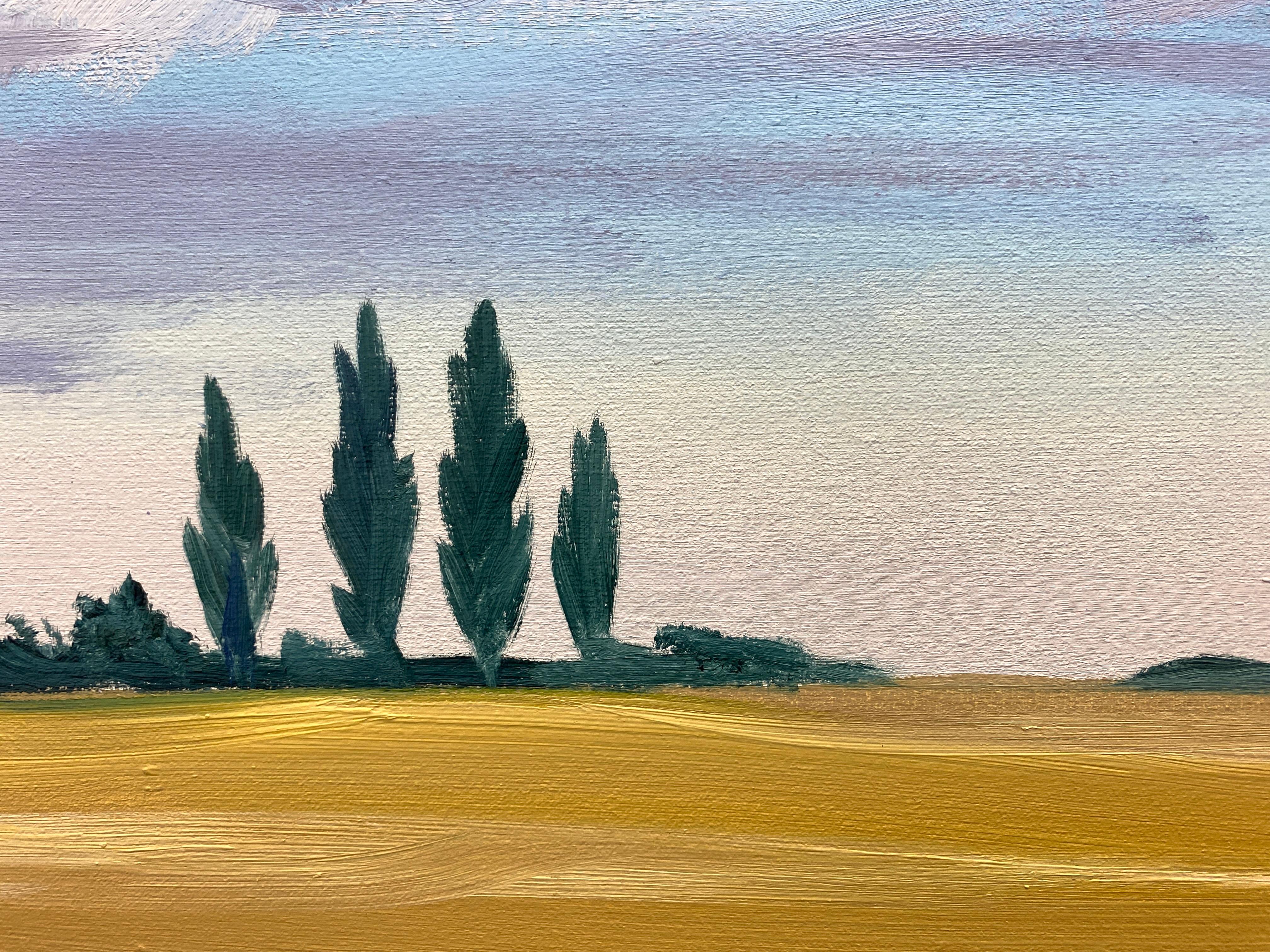 Pioppi in vendita 1