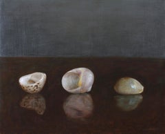 Three Shells - Still Life of Three Shells on a Rich Mahogany Table, Oil on Panel