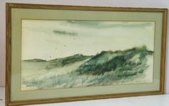 Dune di sabbia di East Hanpton