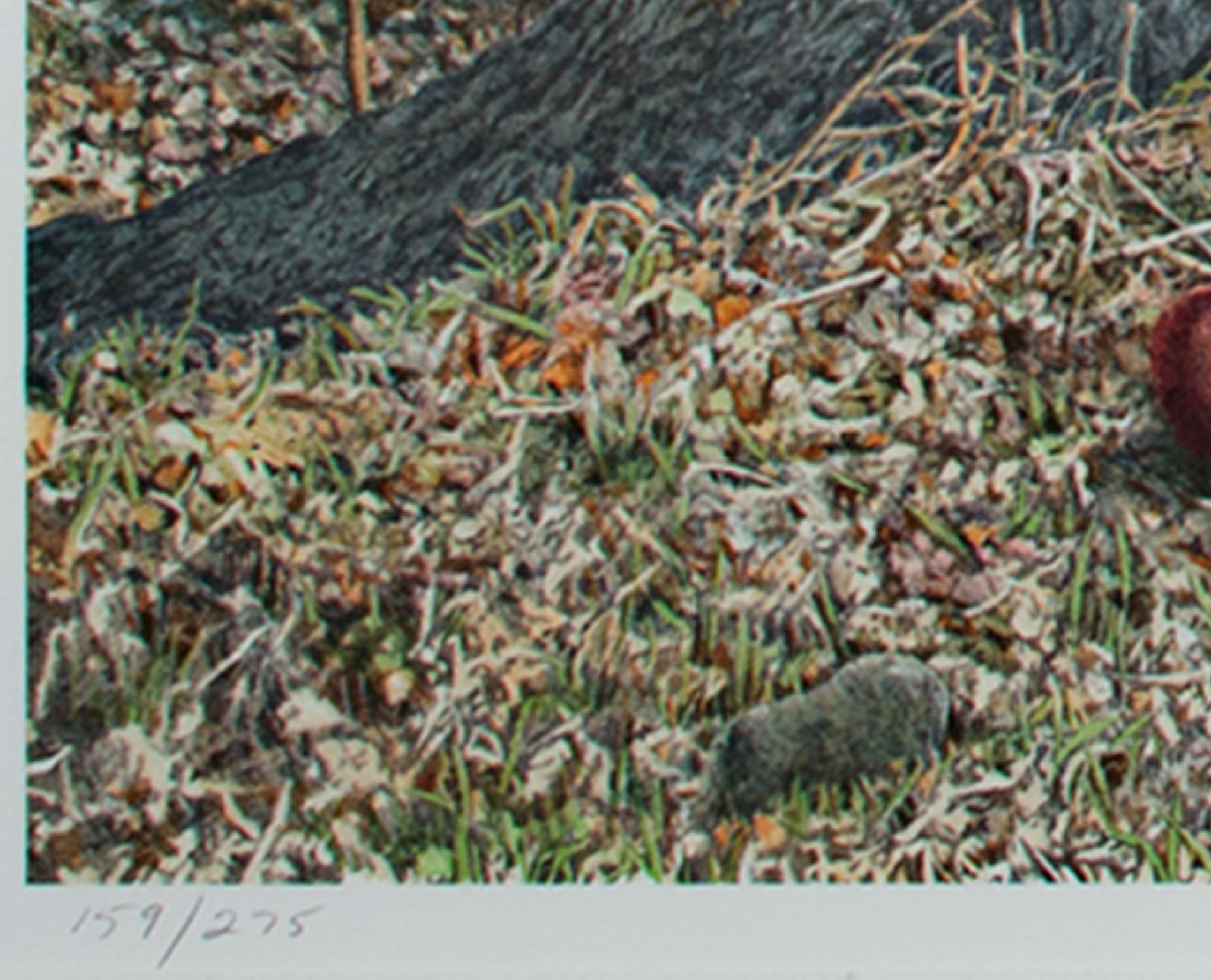 Fin du 20e siècle, lithographie en couleurs paysage arbre forêt panier pommes signée - Postmoderne Print par Helen Rundell