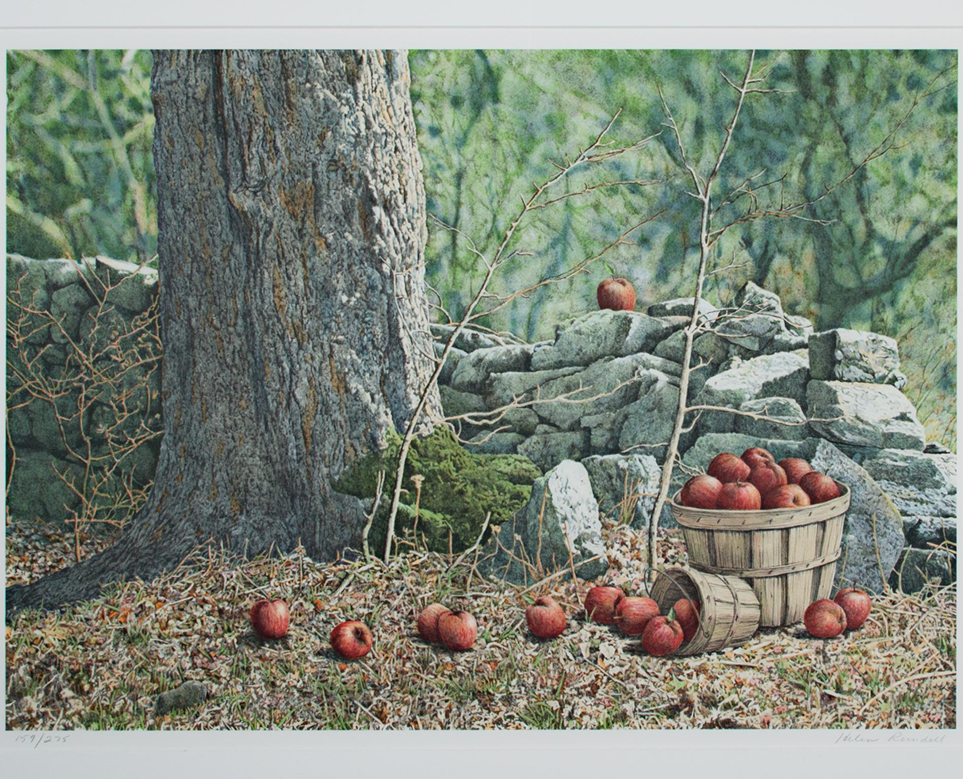 "Windfalls" Original Color Lithograph Forest with Apples signed by Helen Rundell