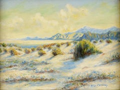 Mid Century Palm Springs Desert Landscape