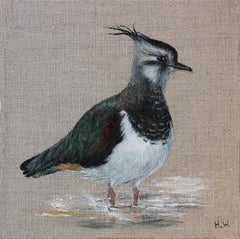 Female Lapwing - Realistic Painting by Helen Welsh