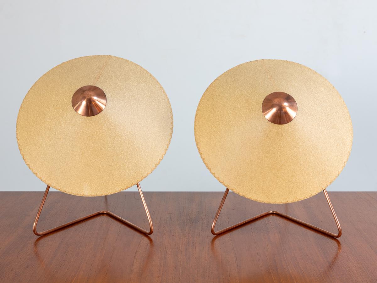 Mid-20th Century Helena Frantova Large Copper Lamps For Sale