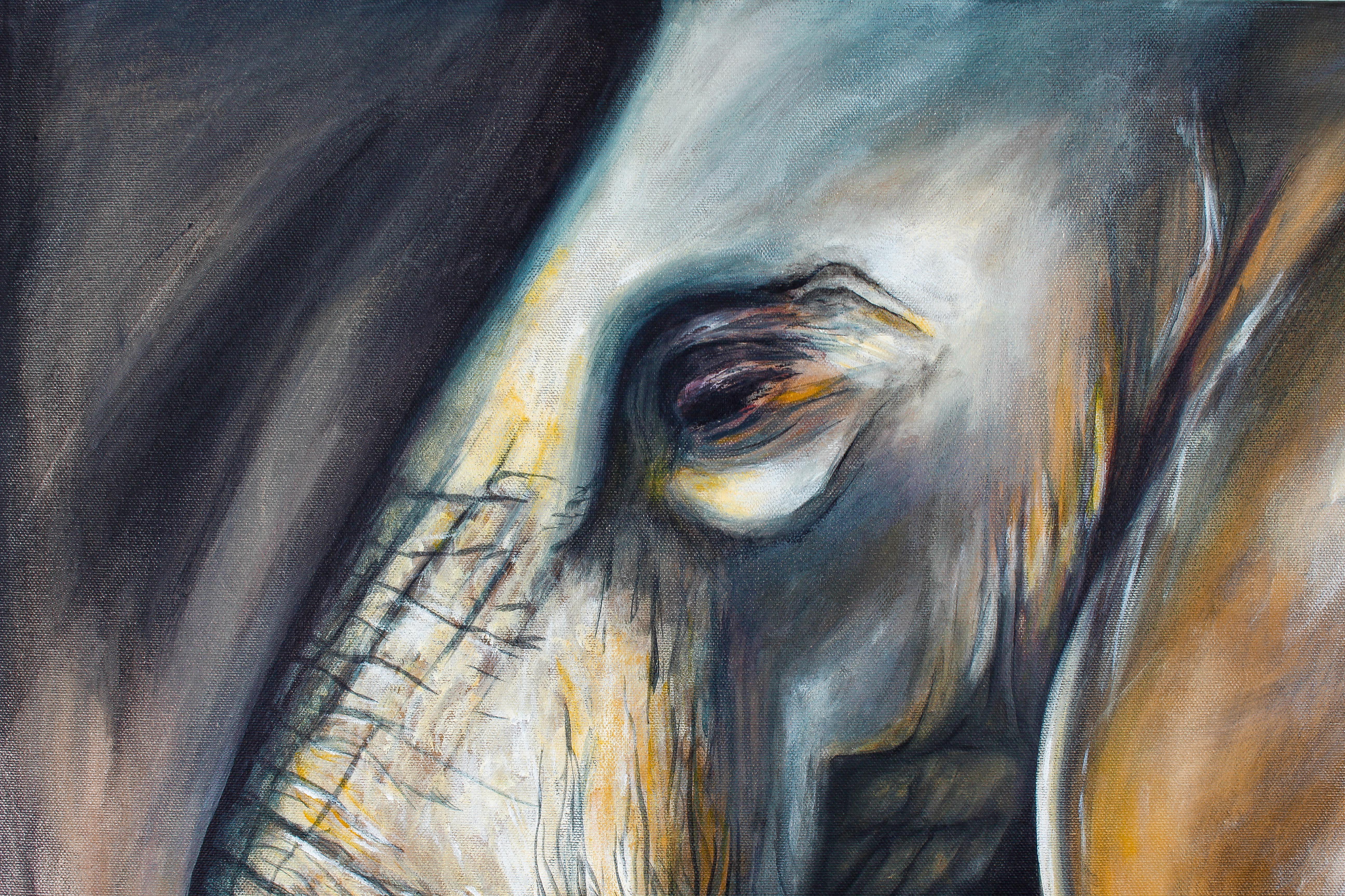 Ecco un nuovo ritratto di animale realizzato dall'artista Helena Monniello. 