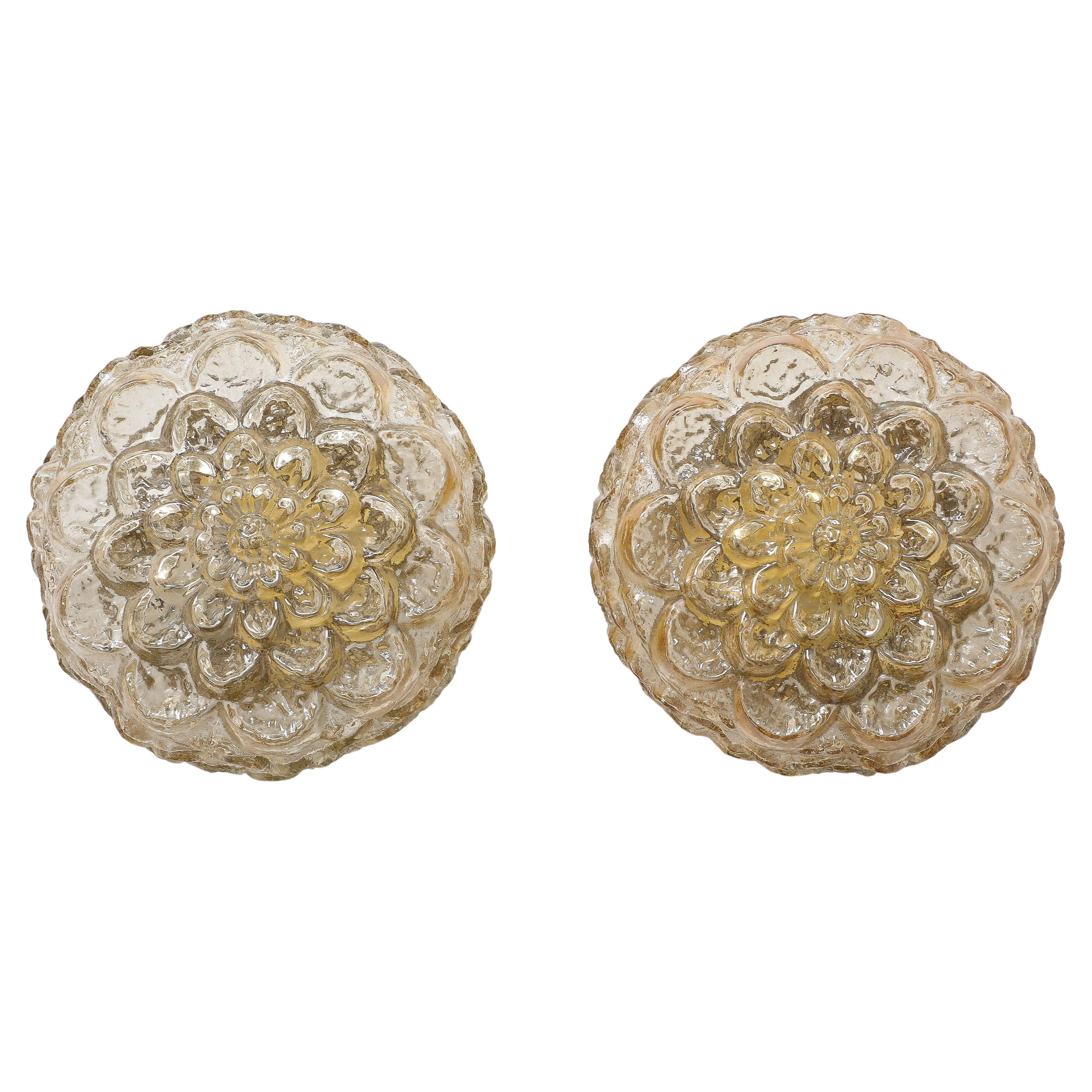 Helena Tynell Amber Glass Flower Sconces