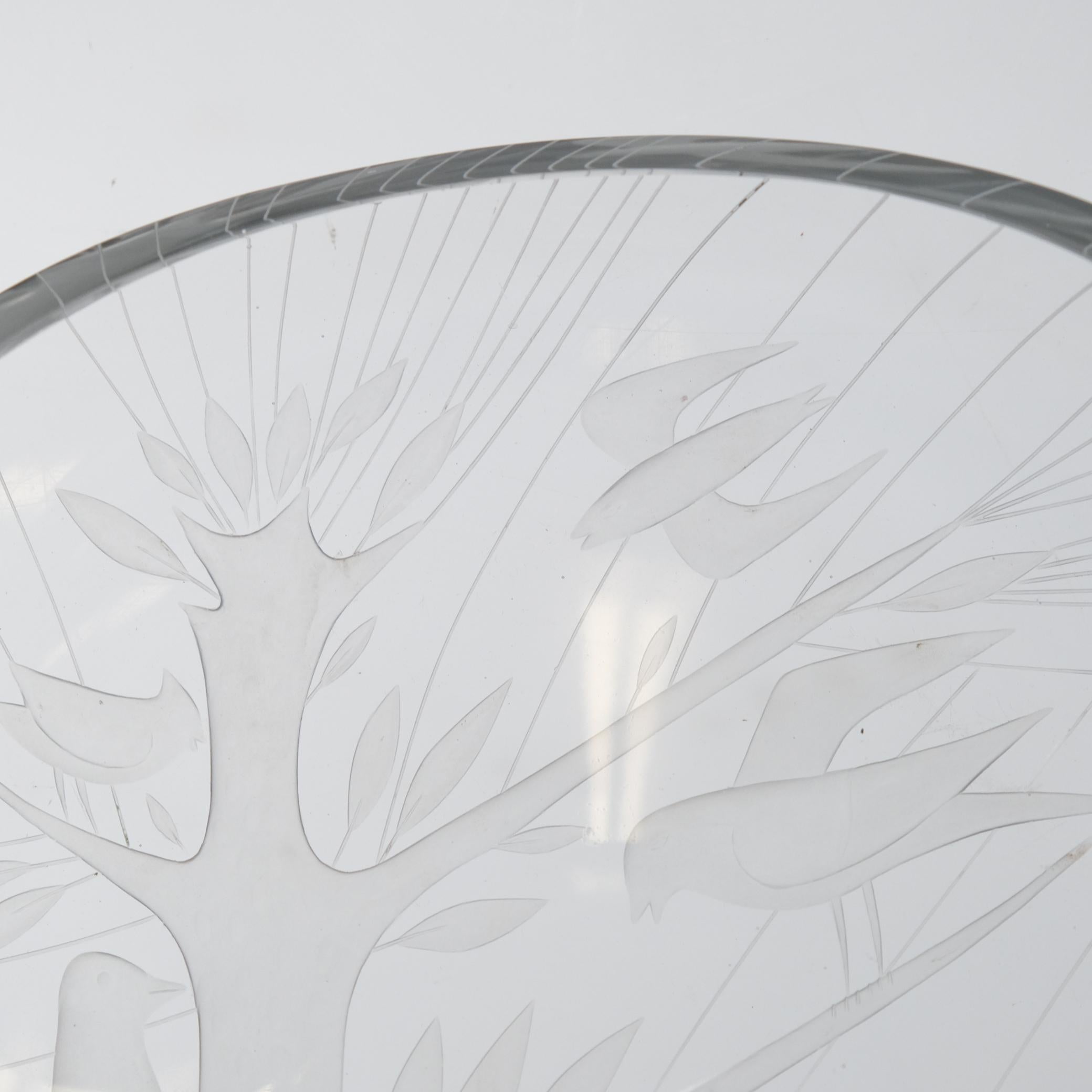 Helena Tynell, Theodor Käppi Engraved Bird Tree Model 6649, Riihimäen Lasi 1953 im Angebot 1