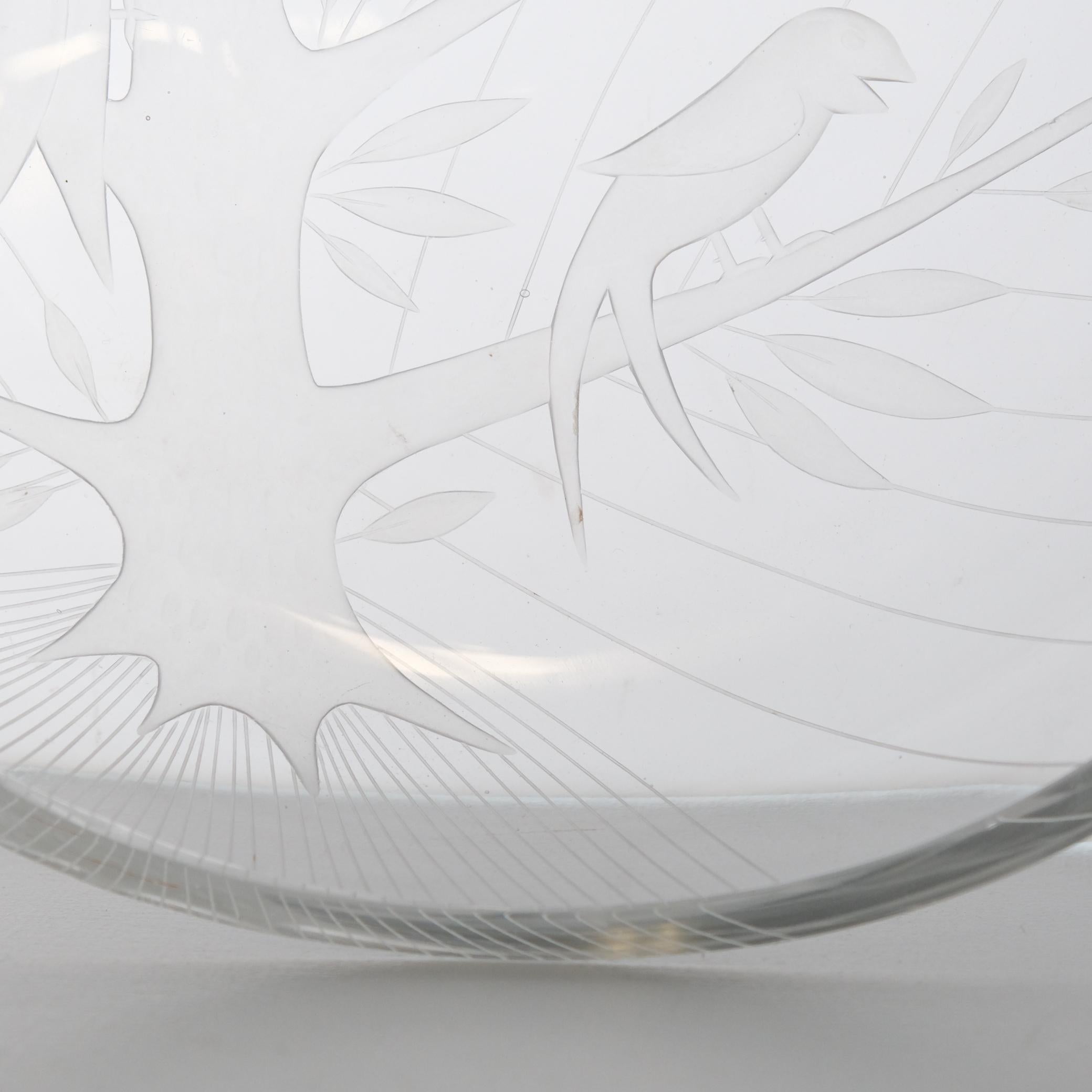 Helena Tynell, Theodor Käppi Engraved Bird Tree Model 6649, Riihimäen Lasi 1953 im Angebot 2