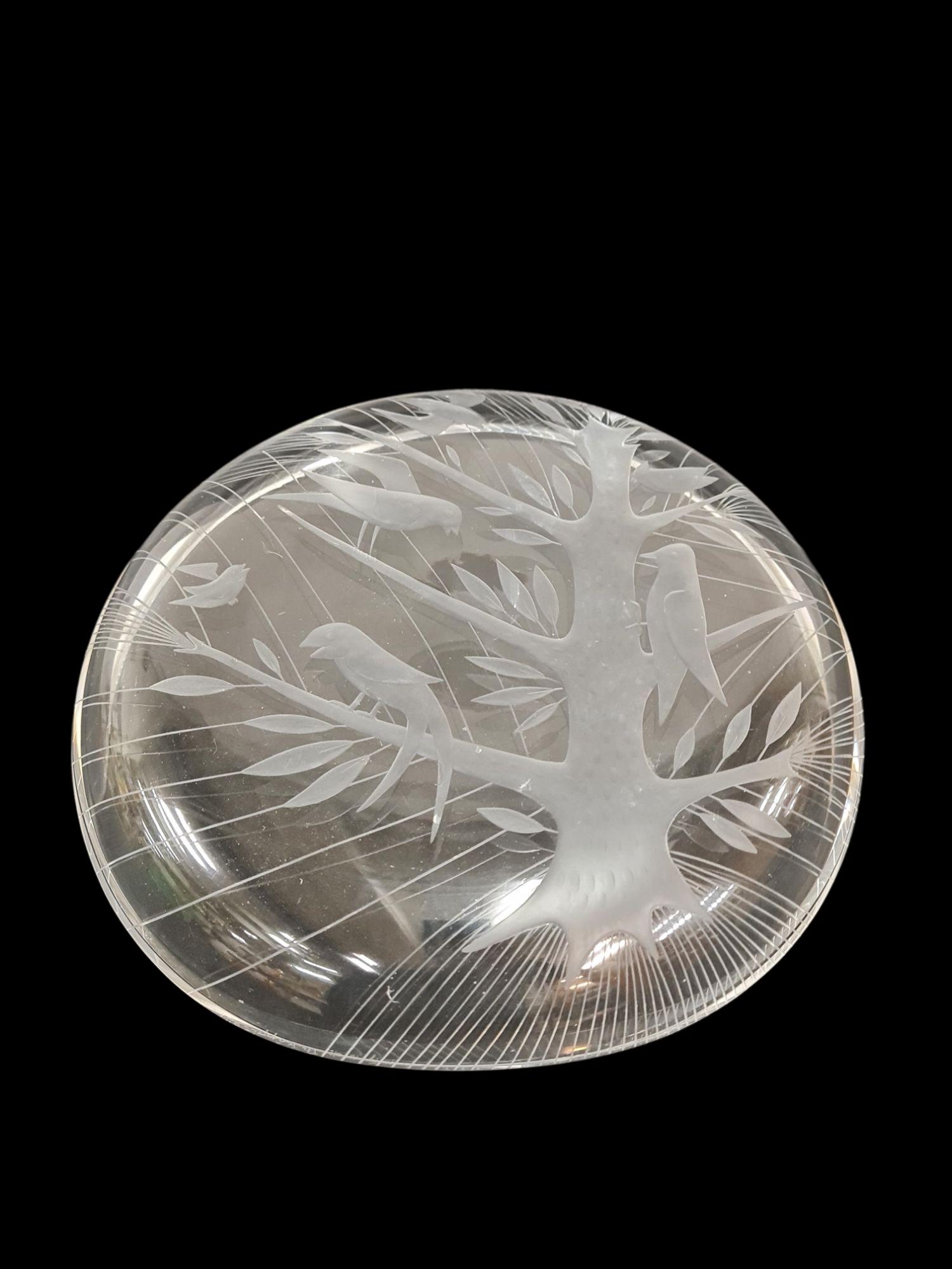 Helena Tynell, Theodor Käppi Engraved Bird Tree Model 6649, Riihimäen Lasi 1953 Escandinavo moderno en venta