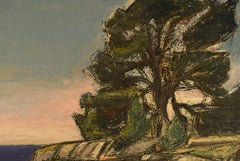 Helge Franzén, artista svedese, Paesaggio costiero con rocce