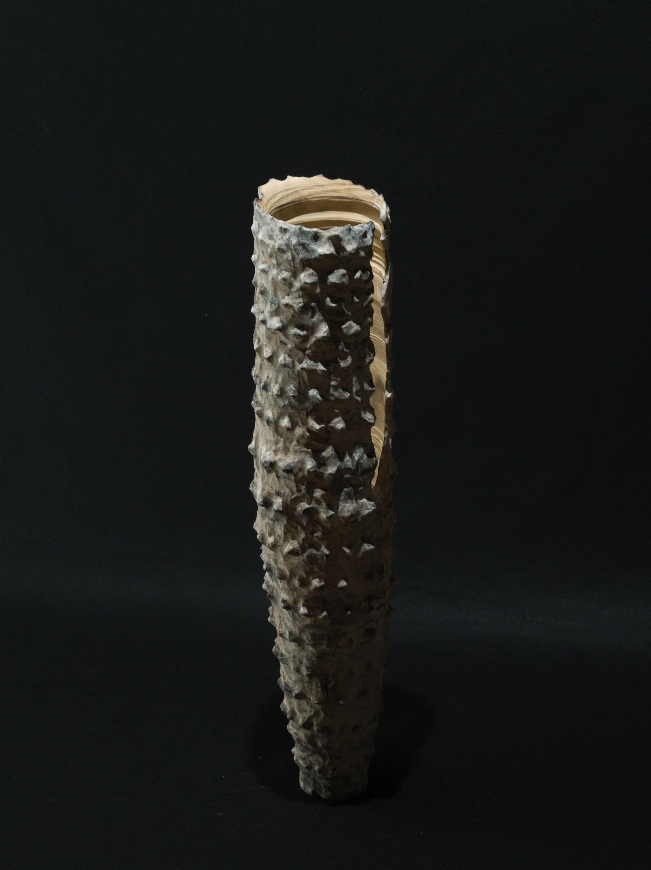 Inspired to the helical patterns found in marine shells, this vessel is roughed on a lathe from a massive piece of maple, then extensively carved to leave a spiral pattern of thorn like protuberances on its surface. Treated with oxides and natural