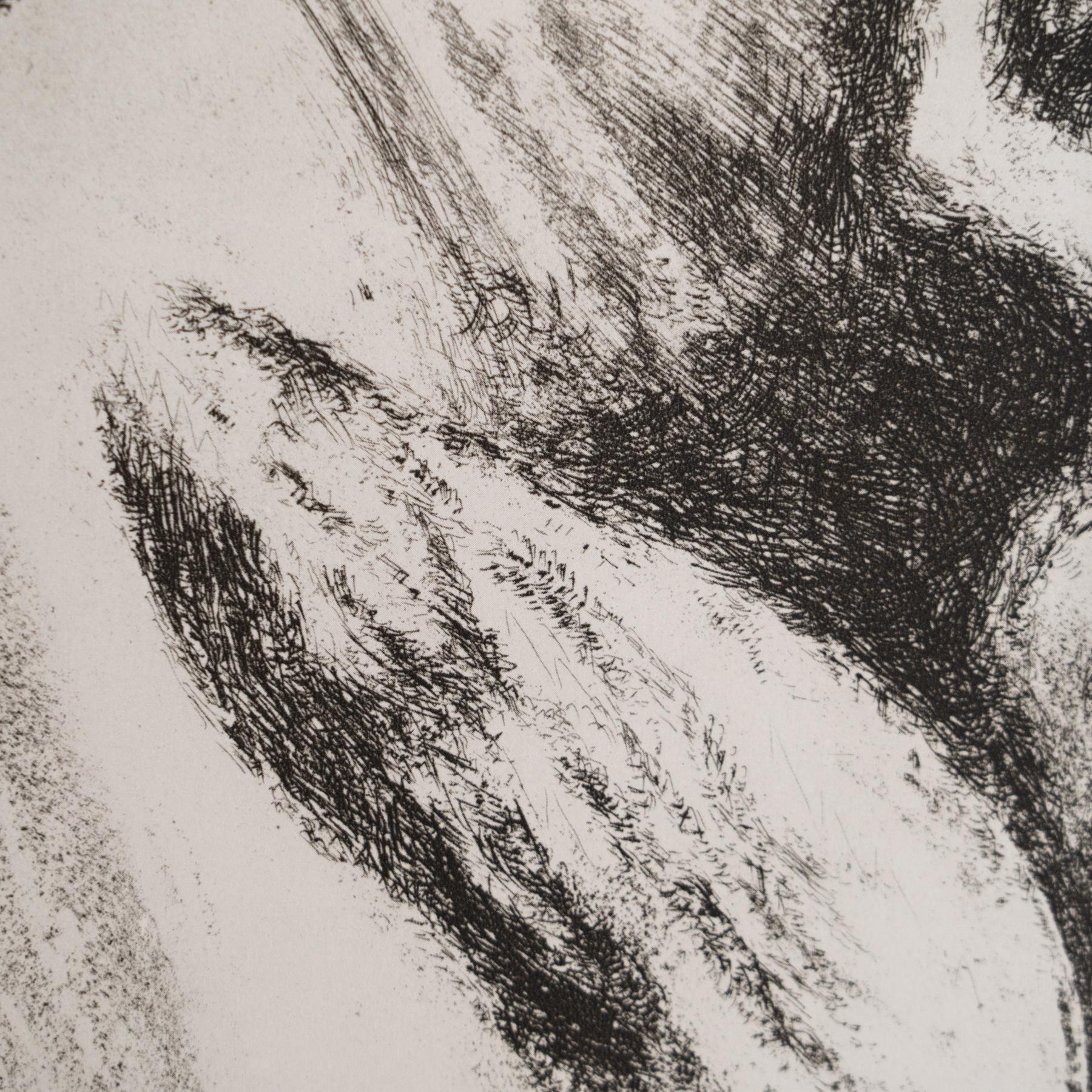 Heliograbado de Marc Chagall de su serie bíblica icónica, 1956 en venta 1