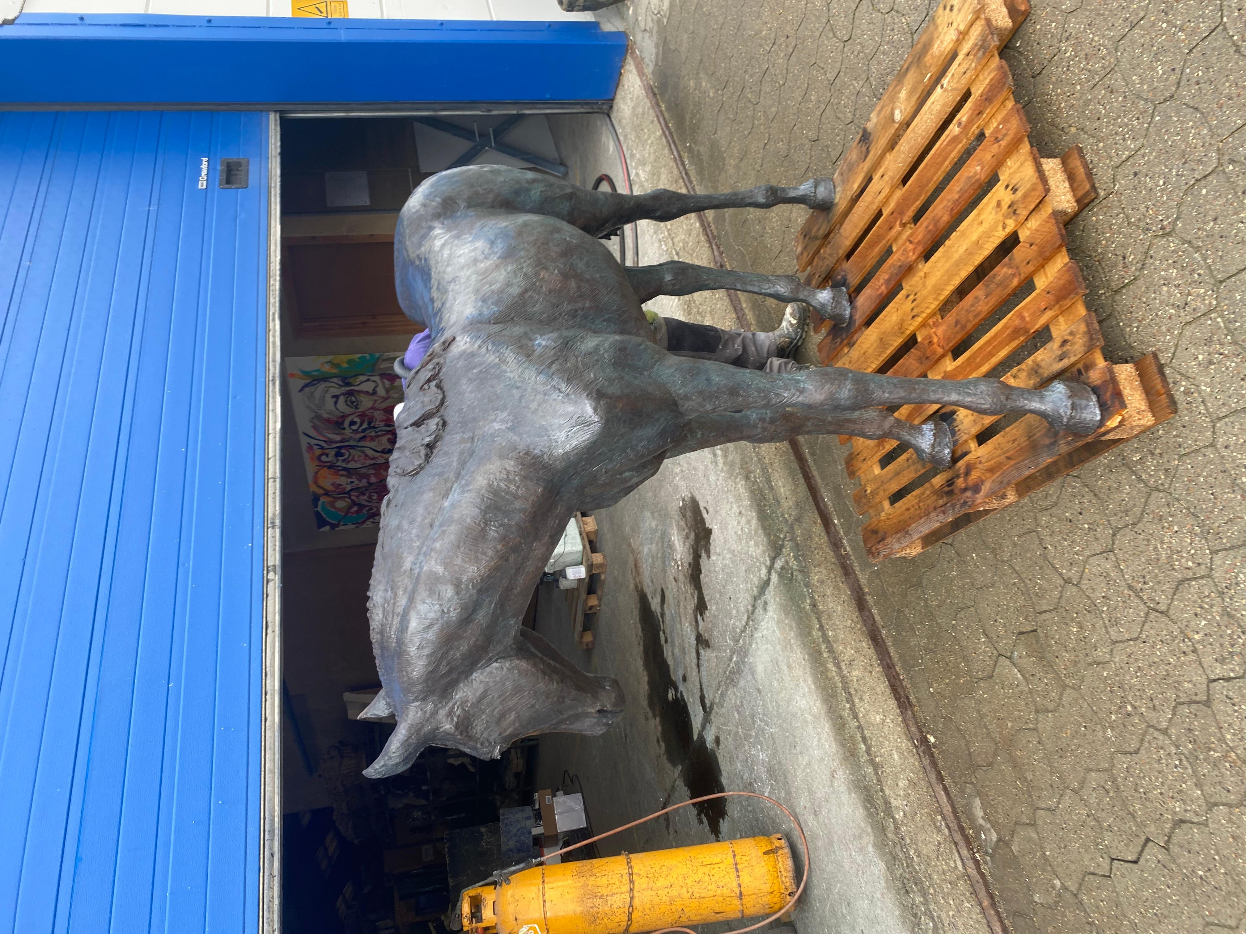 Gloria par Helle Crawford, Sculpture contemporaine en bronze représentant un cheval. en vente 1