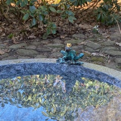 Meet in the Middle by Helle Crawford, Contemporary bronze woman frog sculpture