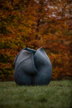 Helleborus Niger Seed Pod 'Artist Cast Now Featuring in Royal Enclosure, Ascot'