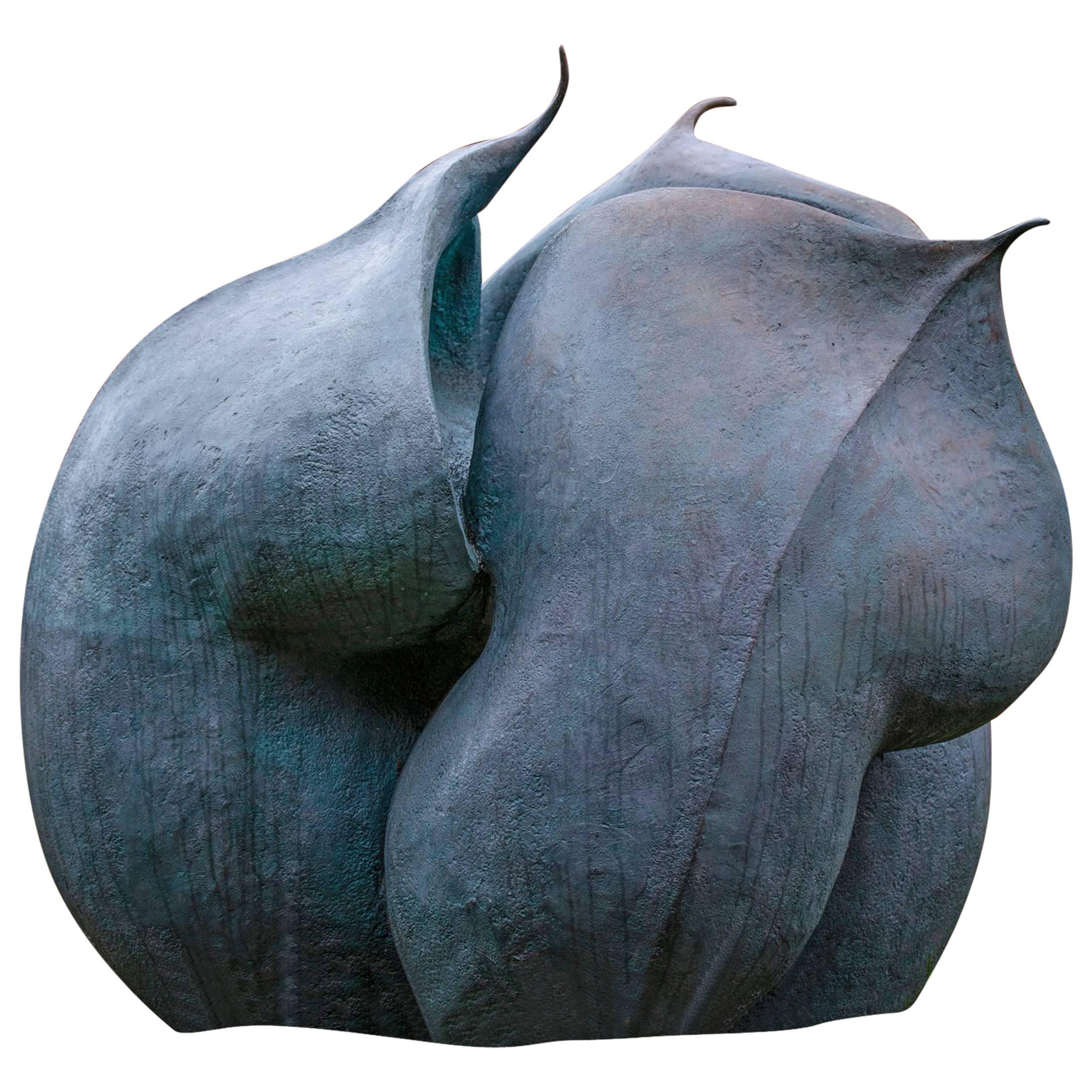 Helleborus Niger Seed Pod 'Artist Cast Now Featuring in Royal Enclosure, Ascot' For Sale