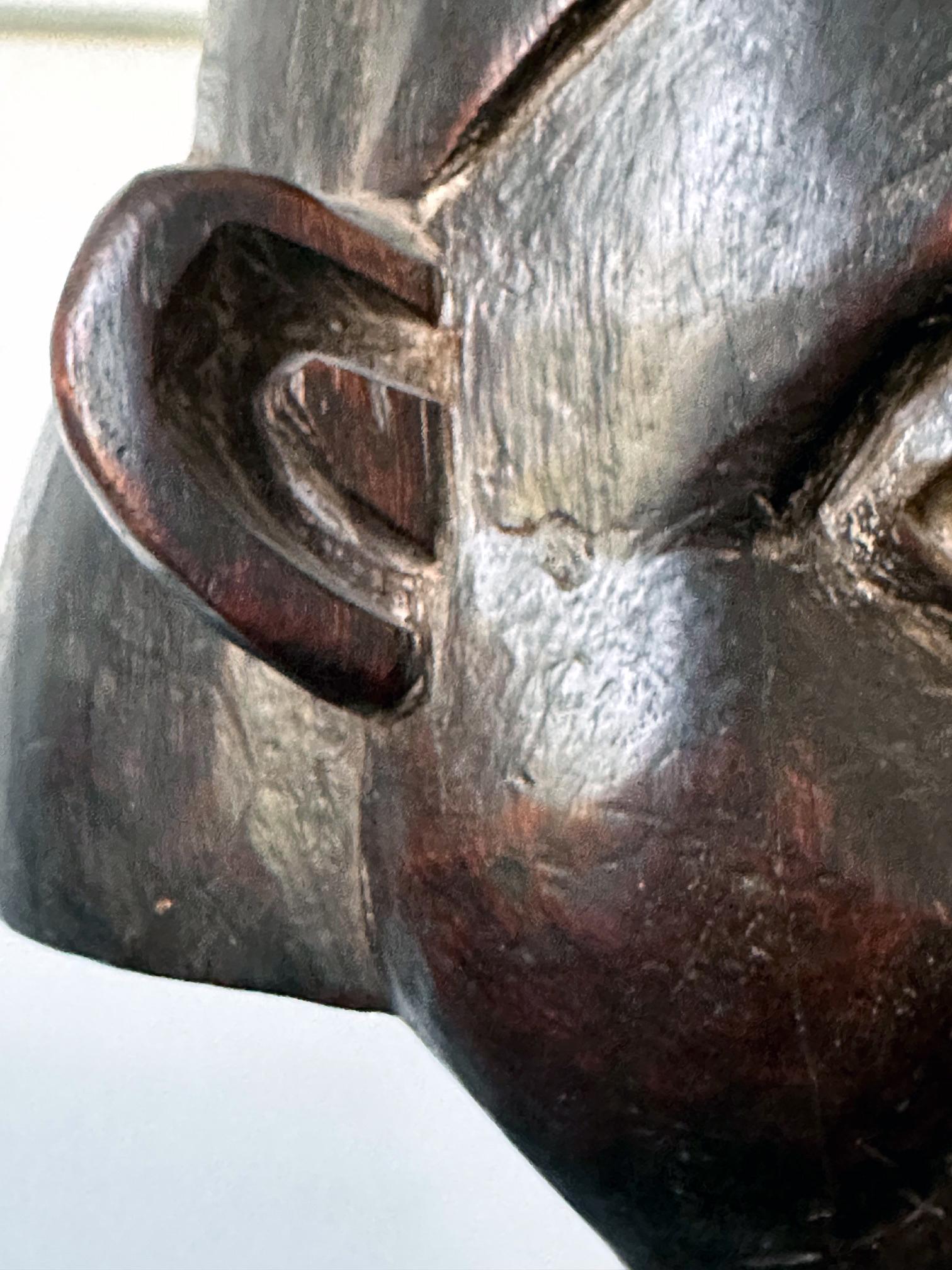 Helmet Crest Ngoin Mask from Cameroon Africa For Sale 4