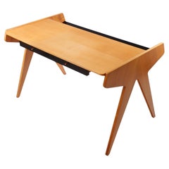 Vintage Helmut Magg, Desk for WK Möbel, 1954