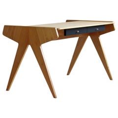 Vintage Helmut Magg Desk for WK Möbel, Germany, 1950s