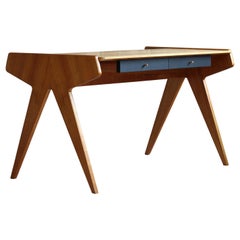 Vintage Helmut Magg Desk for WK Möbel, Germany, 1950s