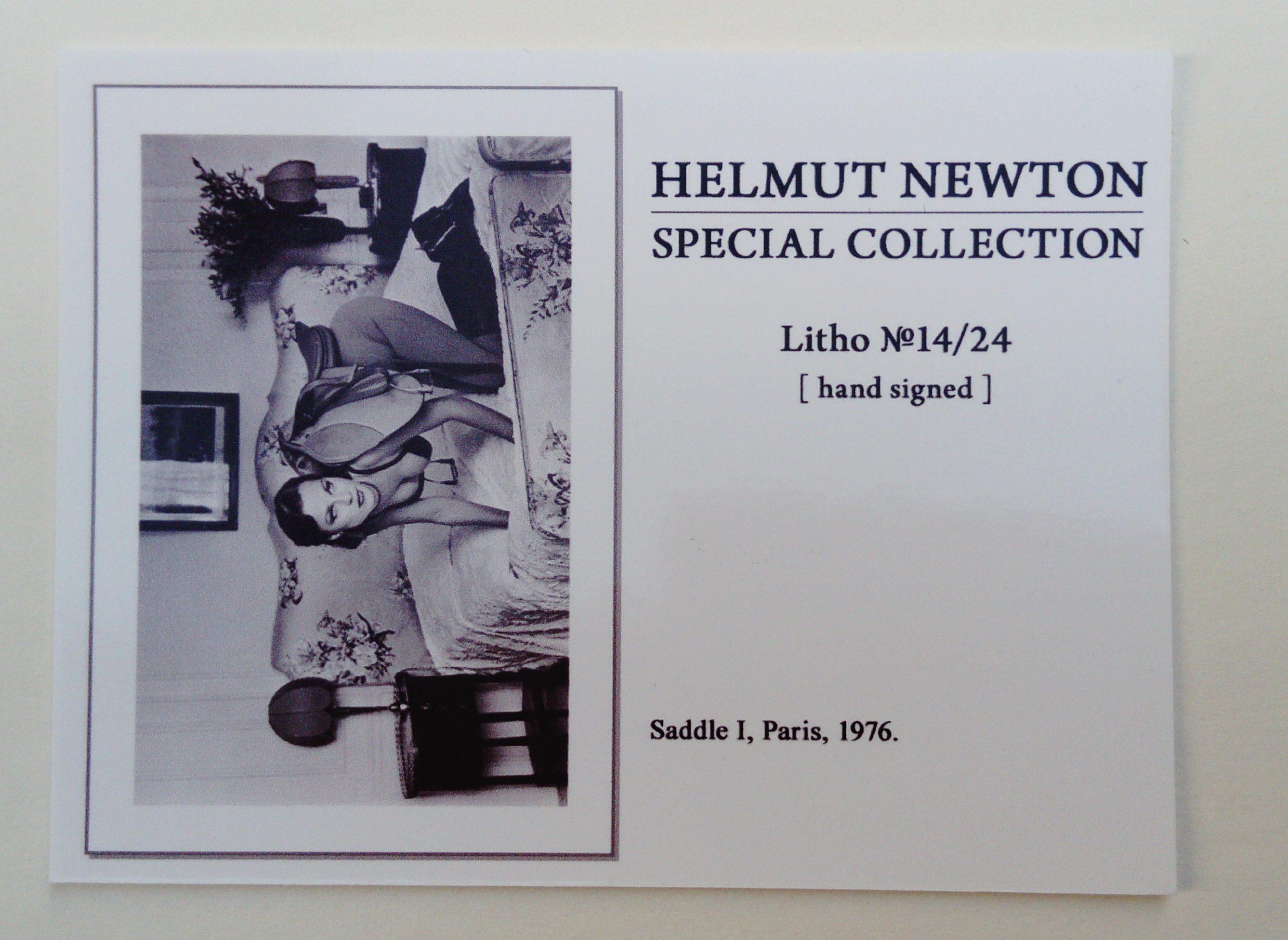 helmut newton saddle i