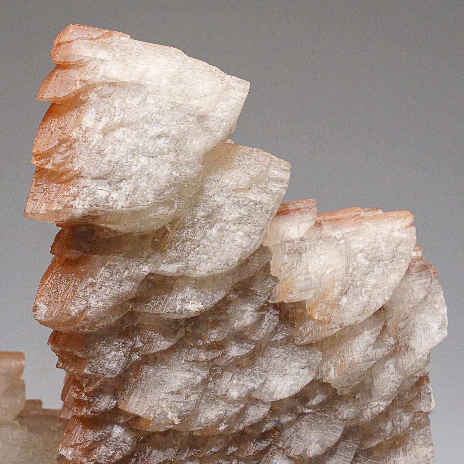 From Huanggang Mines, Hexigten Banner, Inner Mongolia A.R., China

Here is unique piece od two generations of calcite. Tthe first formed large scalenohedral calcite crystals with brown limonite on the surfaces, then was partially overgrown with