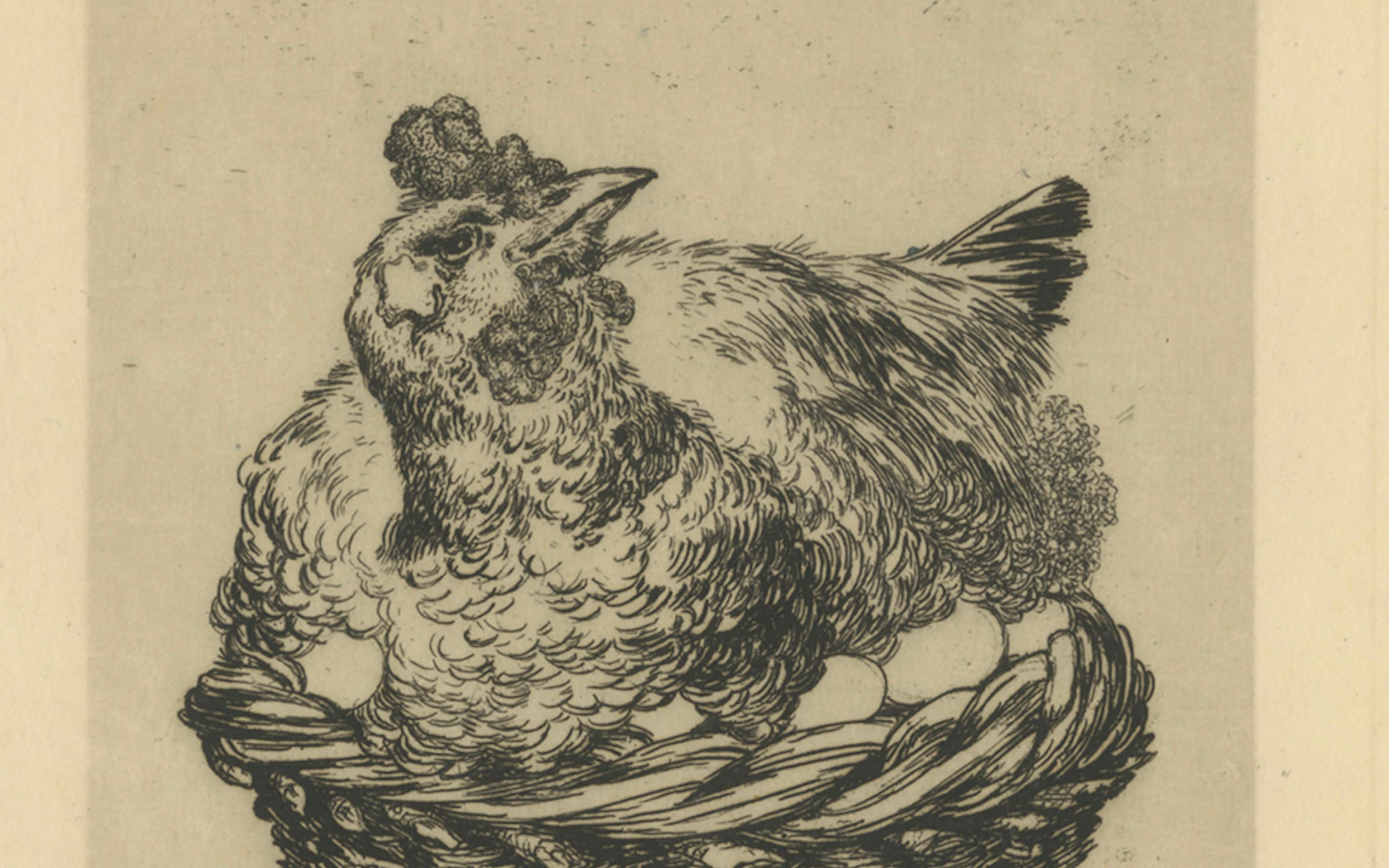 Gravé Poule aux œufs d'or - Félix Bracquemond Eau-forte sur papier Japon, c.1880 en vente