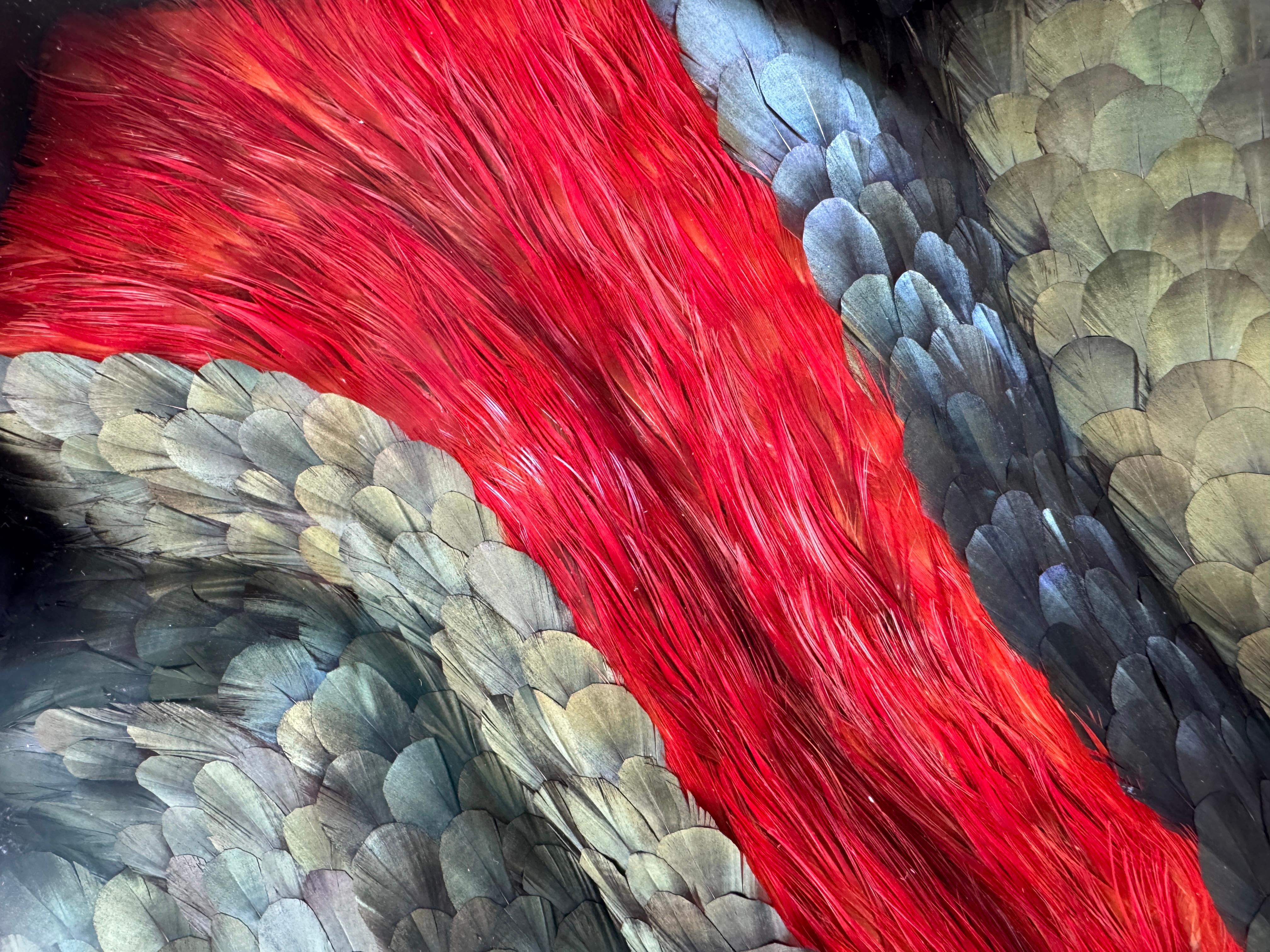 Obra de arte mural Plumas abstractas, Plumas tridimensionales rojas y verdes, 2025 en venta 8