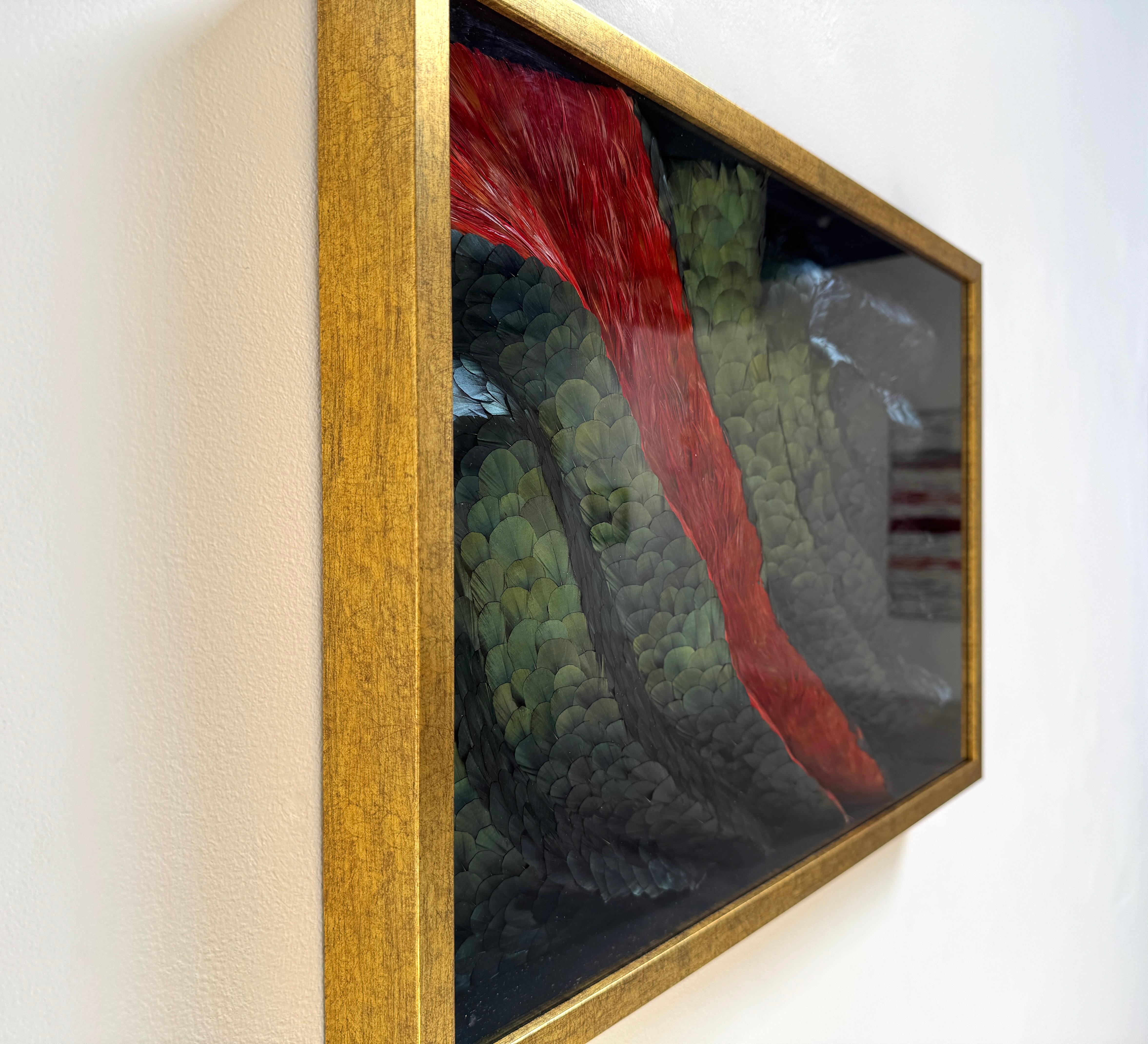 Obra de arte mural Plumas abstractas, Plumas tridimensionales rojas y verdes, 2025 en venta 10