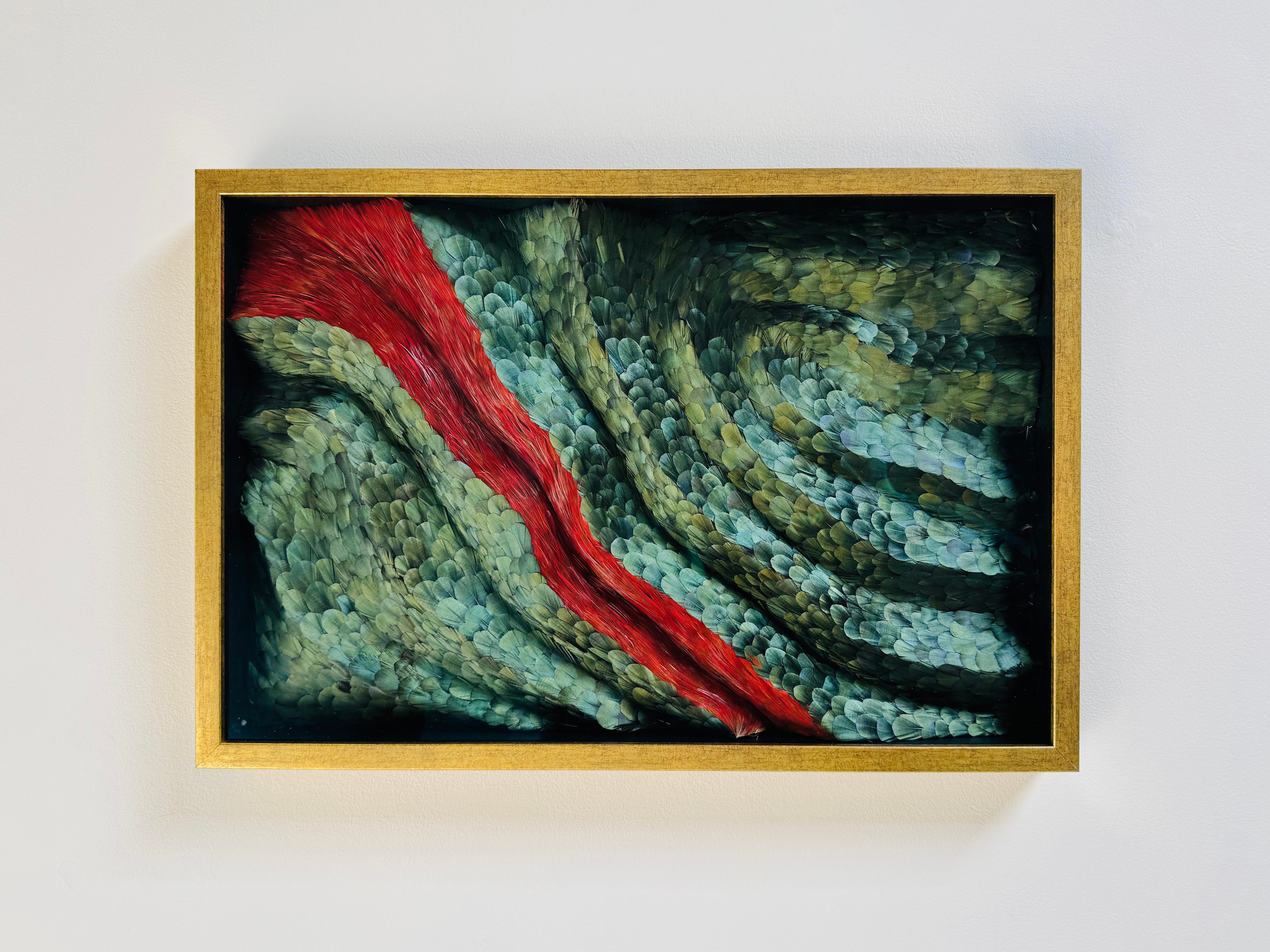 Obra de arte mural Plumas abstractas, Plumas tridimensionales rojas y verdes, 2025 en venta 11