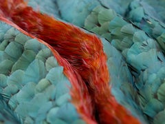 Obra de arte mural Plumas, abstracto tridimensional Plumas rojas y verdes, 2025