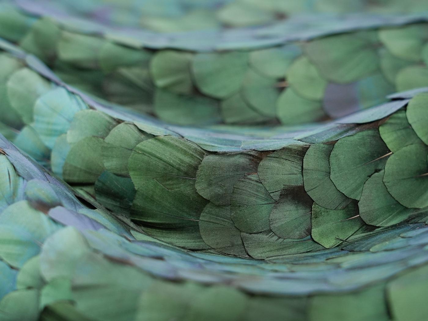 Obra de arte mural Plumas abstractas, Plumas tridimensionales rojas y verdes, 2025 en venta 2