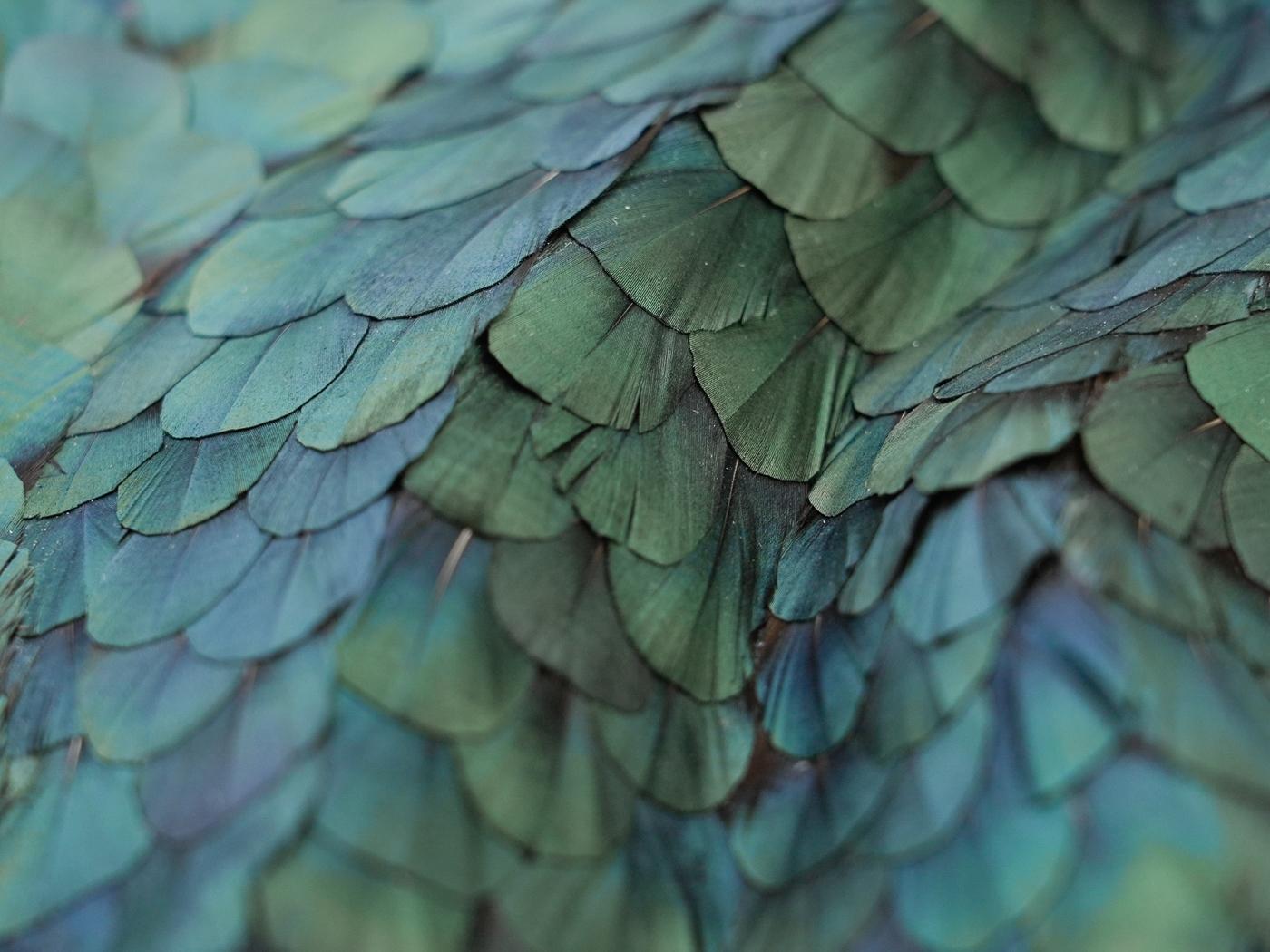 Obra de arte mural Plumas abstractas, Plumas tridimensionales rojas y verdes, 2025 en venta 3