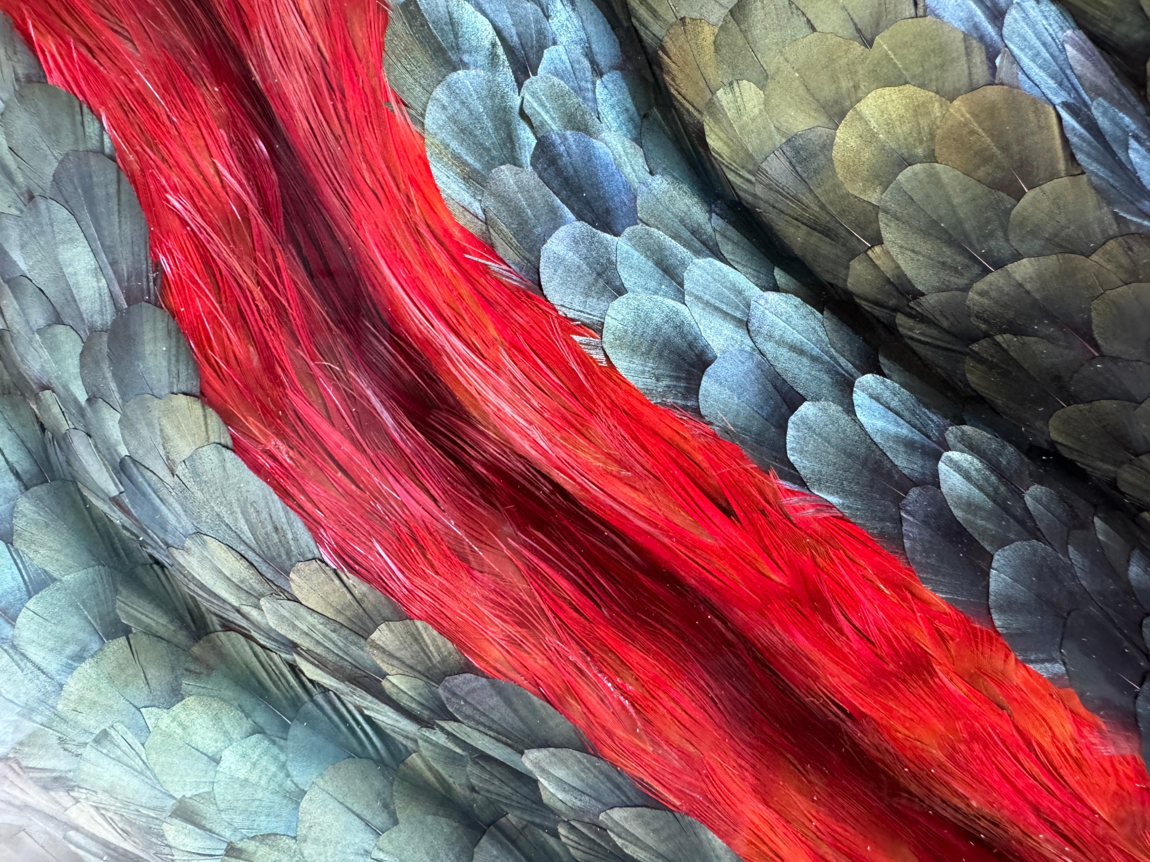 Obra de arte mural Plumas abstractas, Plumas tridimensionales rojas y verdes, 2025 en venta 5