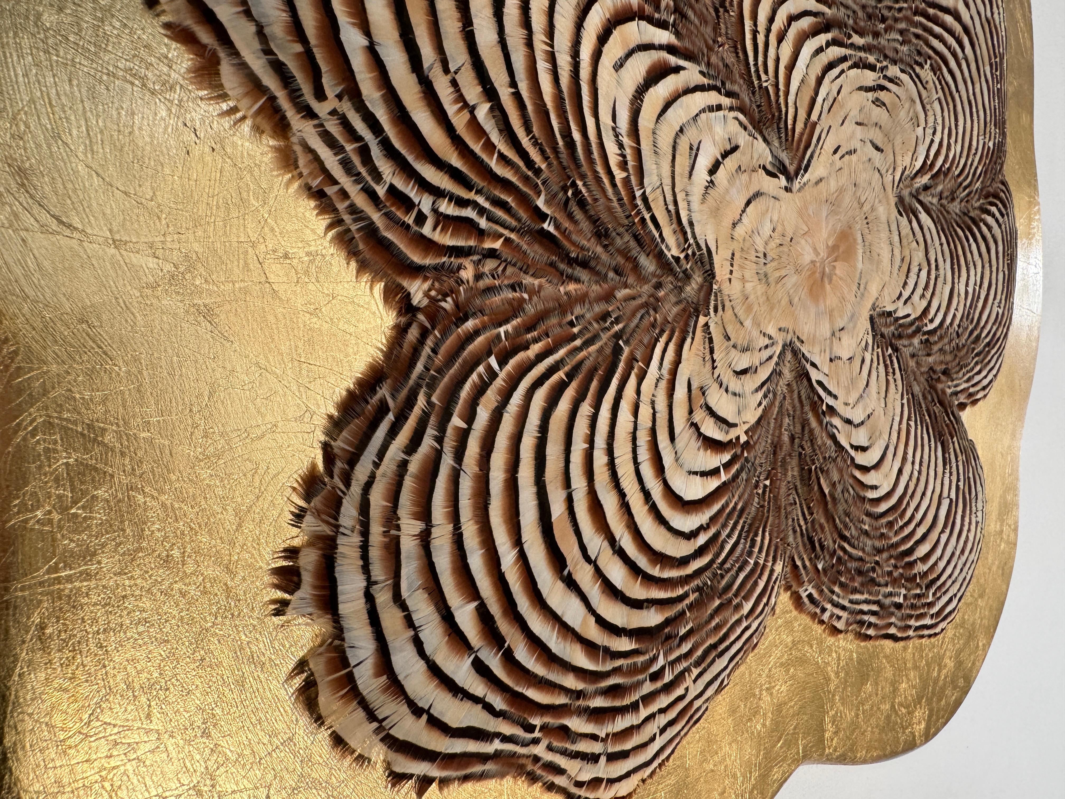 Feather Wall Art, Tree Rings and gold leaf, 2021 For Sale 13