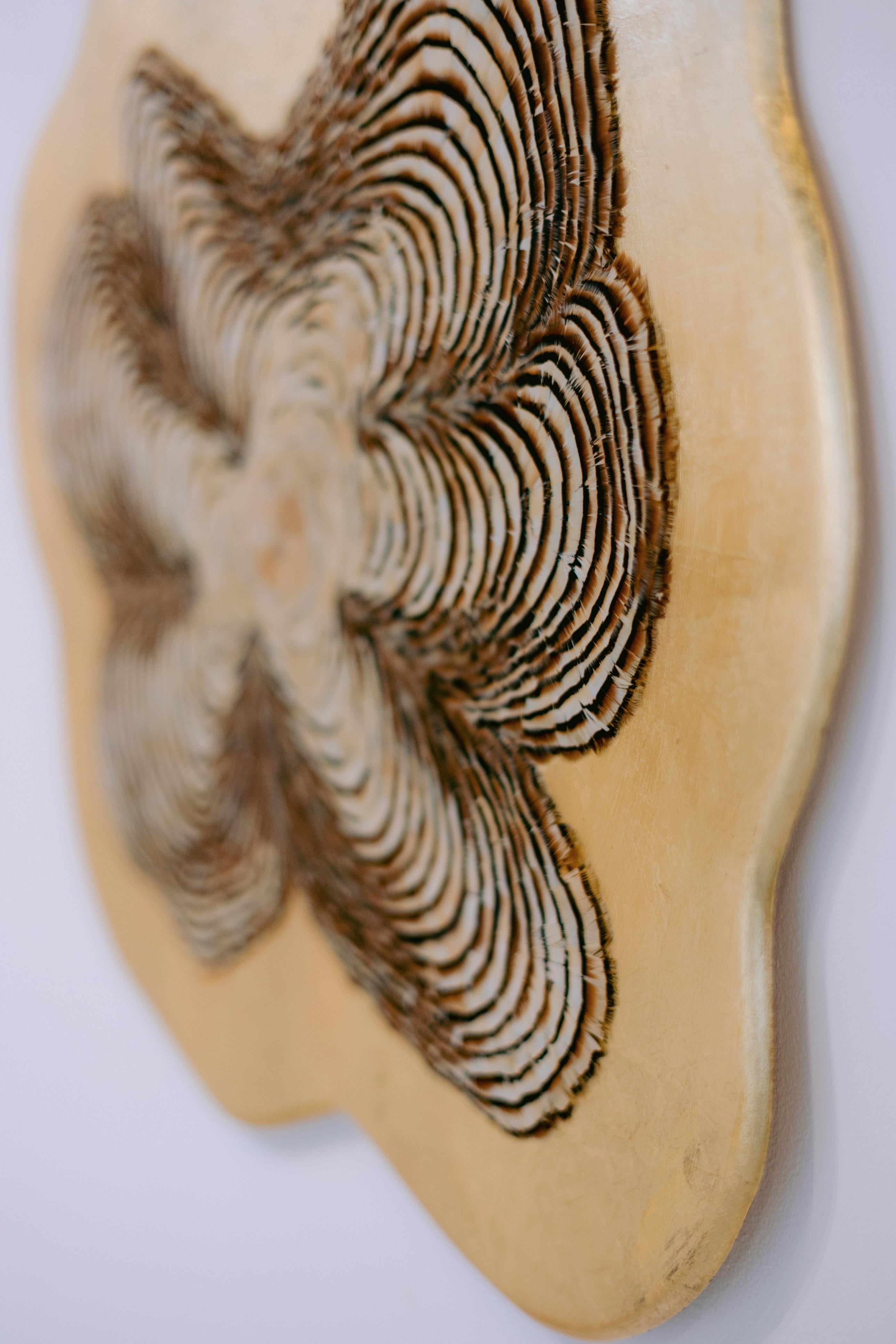 Feather Wall Art, Tree Rings and gold leaf, 2021 - Abstract Mixed Media Art by Henar Iglesias