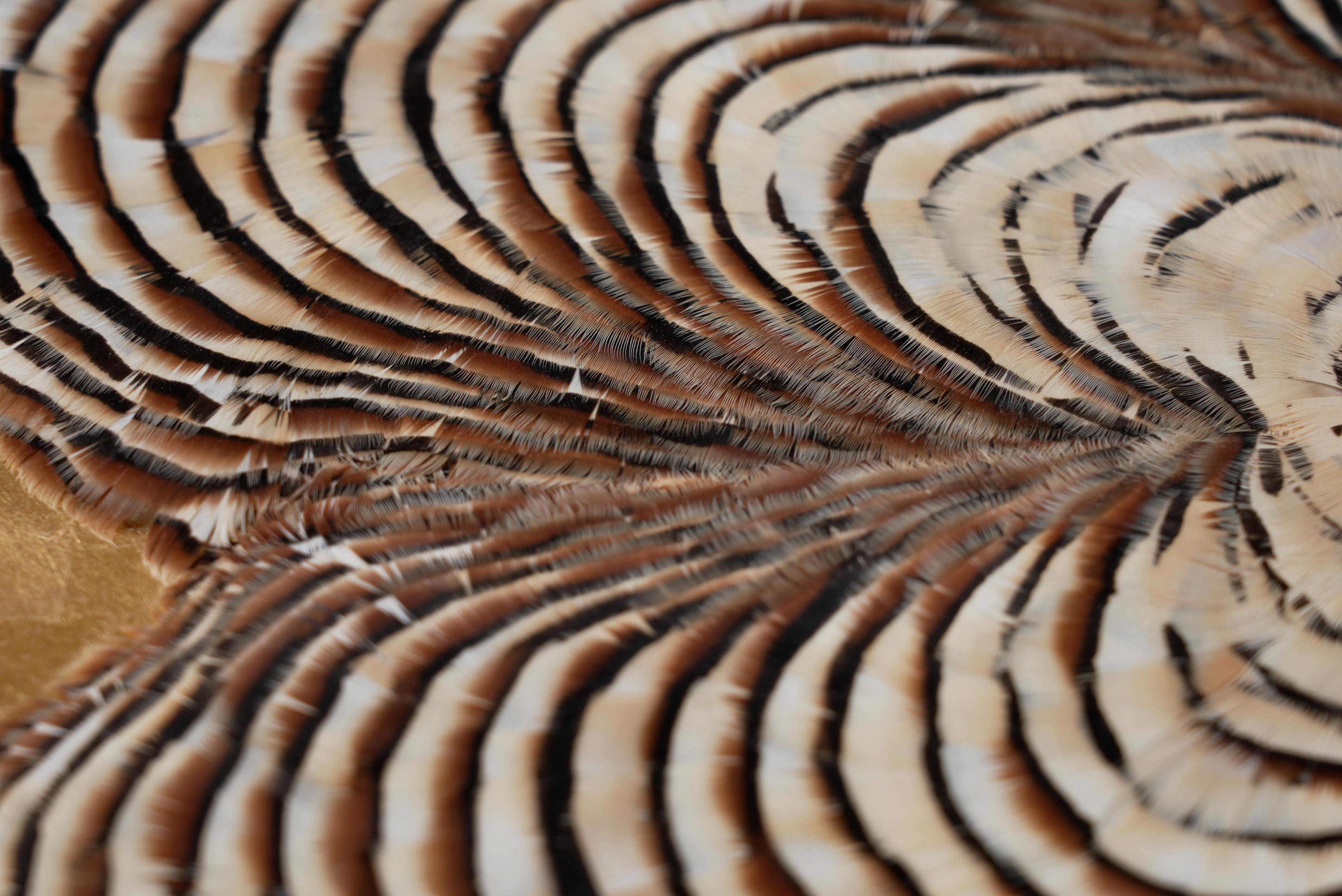 Feather Wall Art, Tree Rings and gold leaf, 2021 For Sale 2