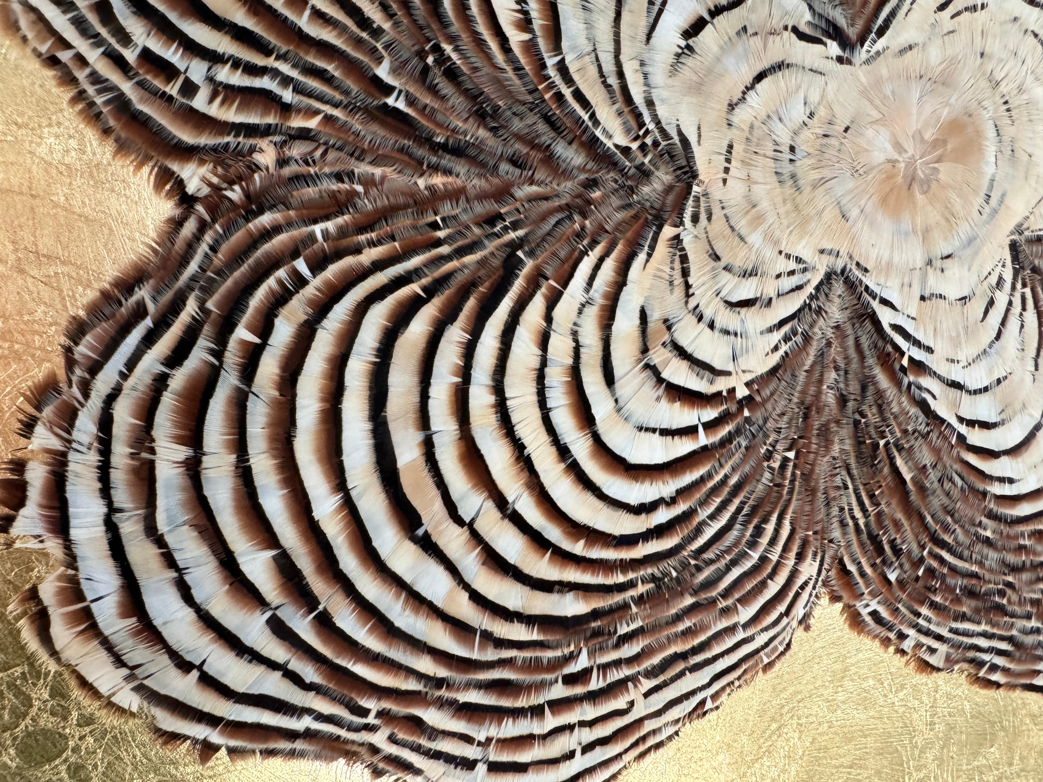 Feather Wall Art, Tree Rings and gold leaf, 2021 For Sale 3