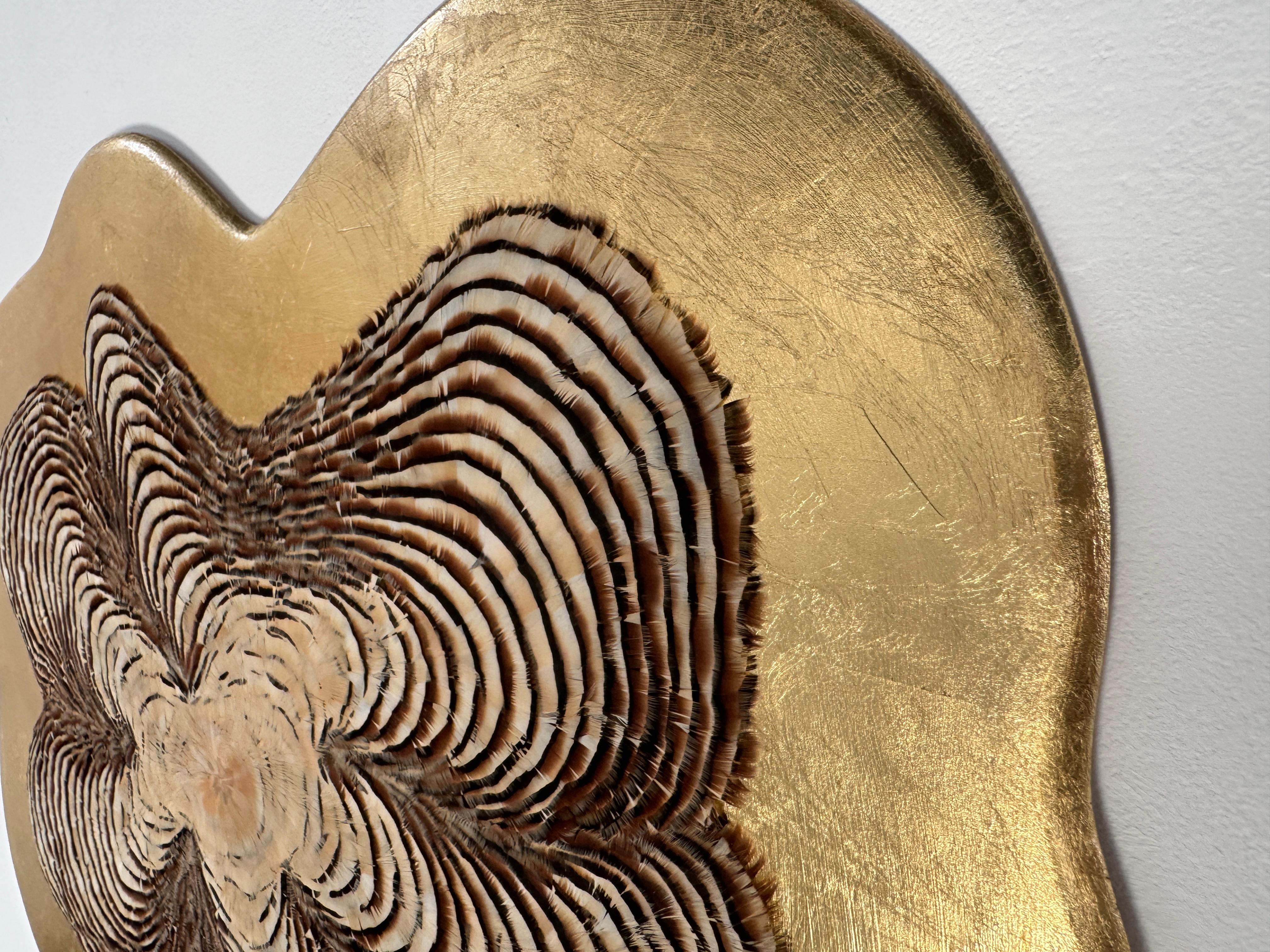Feather Wall Art, Tree Rings and gold leaf, 2021 For Sale 5