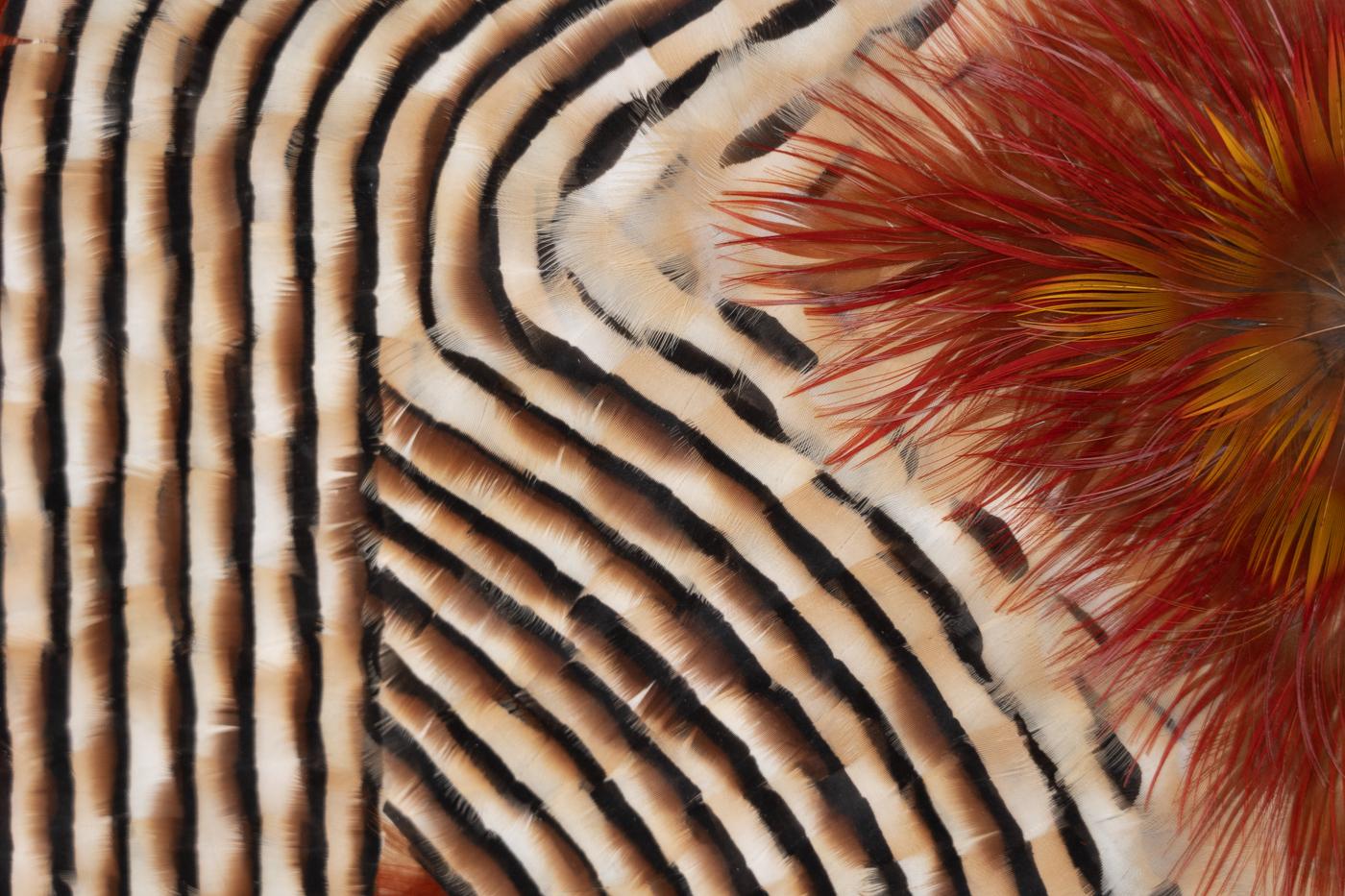 Feather Wall Art, Abstract Red and Earth Tones Geometric Pattern, 2025 - Brown Abstract Painting by Henar Iglesias