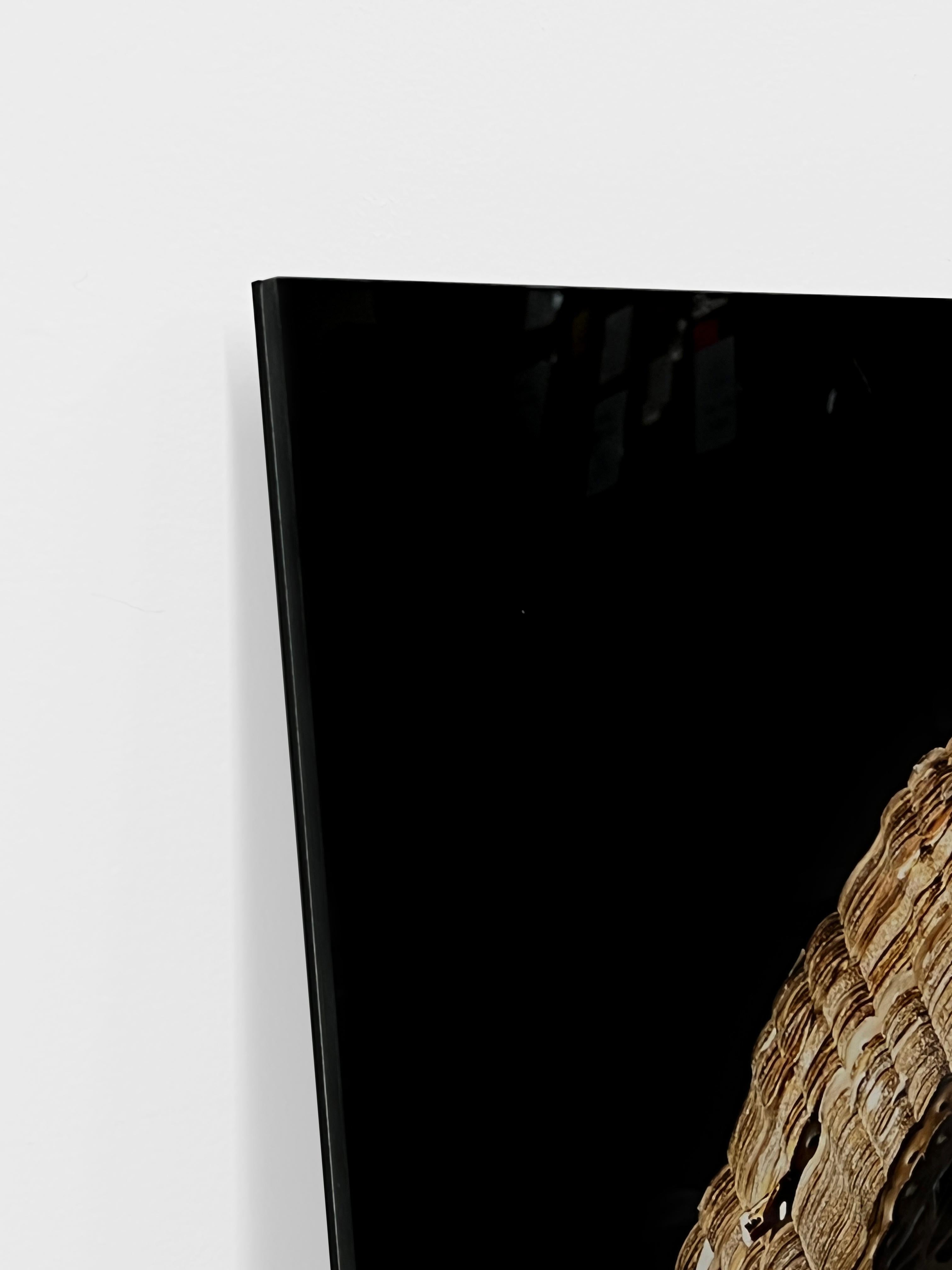 Golden Cake Hat (2022) ist die neueste Veröffentlichung des international bekannten niederländischen Fotografen Hendrik Kerstens.  Die Danziger Gallery freut sich, 2 Editionen dieses neuen Kunstwerks im Format 40 x 30 Zoll anbieten zu können. Im
