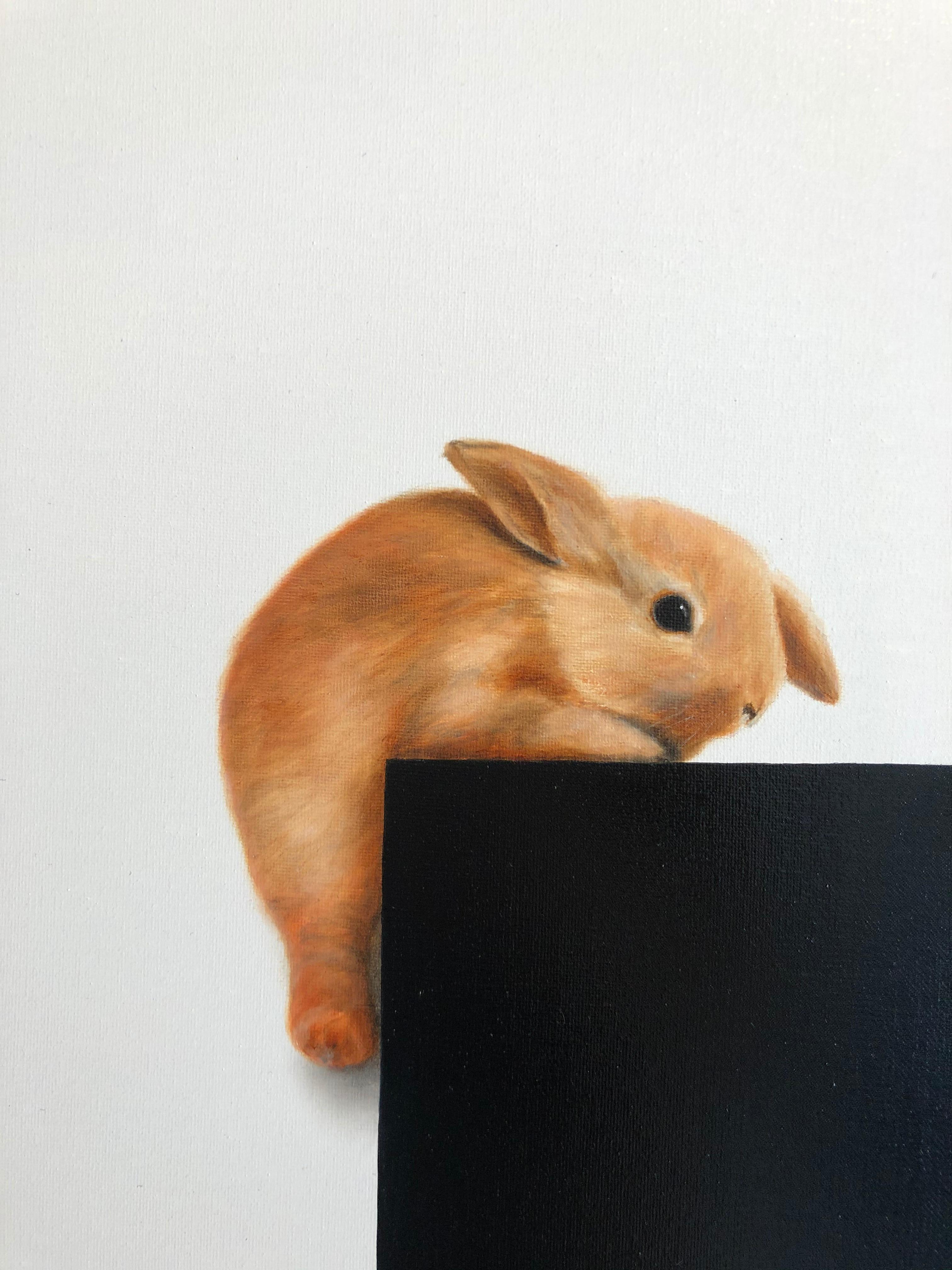 Blue Sea Bunny, Mine-original realism wildlife oil painting-contemporary Art For Sale 5