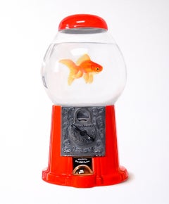 Gumball Goldfish Fun original animal realism oil painting wildlife 21st Century 