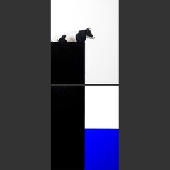 I See Blue Sea Cow ( BlackWhite lying ) - surreal wildlife realism oil artwork